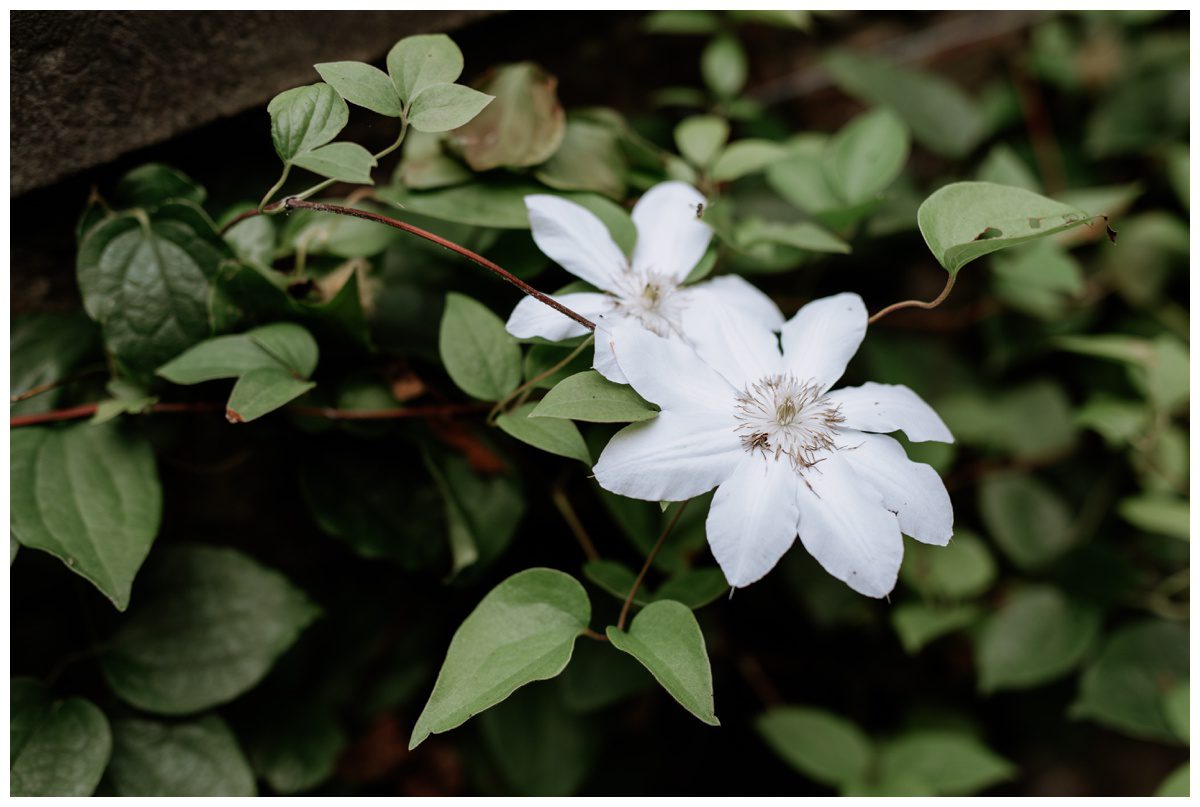 Winterthur Mansion & Gardens Wedding, Winterthur Wedding, Philadelphia Wedding, Garden Wedding