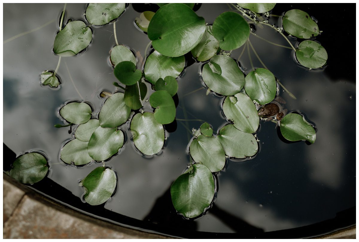 Winterthur Mansion & Gardens Wedding, Winterthur Wedding, Philadelphia Wedding, Garden Wedding