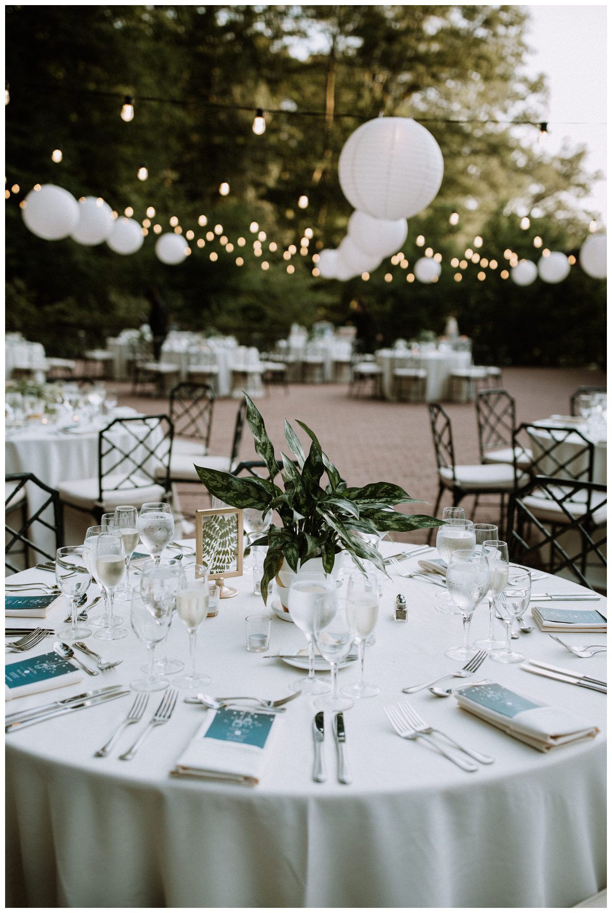 Winterthur Mansion & Gardens Wedding, Winterthur Wedding, Philadelphia Wedding, Garden Wedding