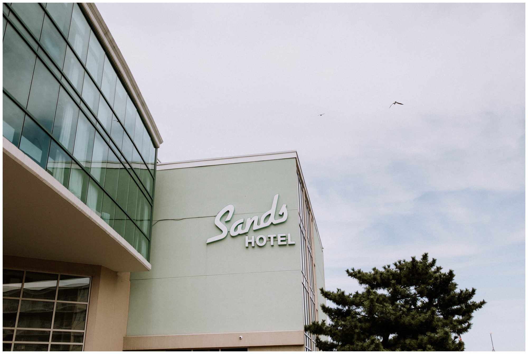 Destination Photographer, Adventure Photographer, Rehoboth Beach Wedding, Rehoboth Wedding Photographer, Rehoboth Wedding