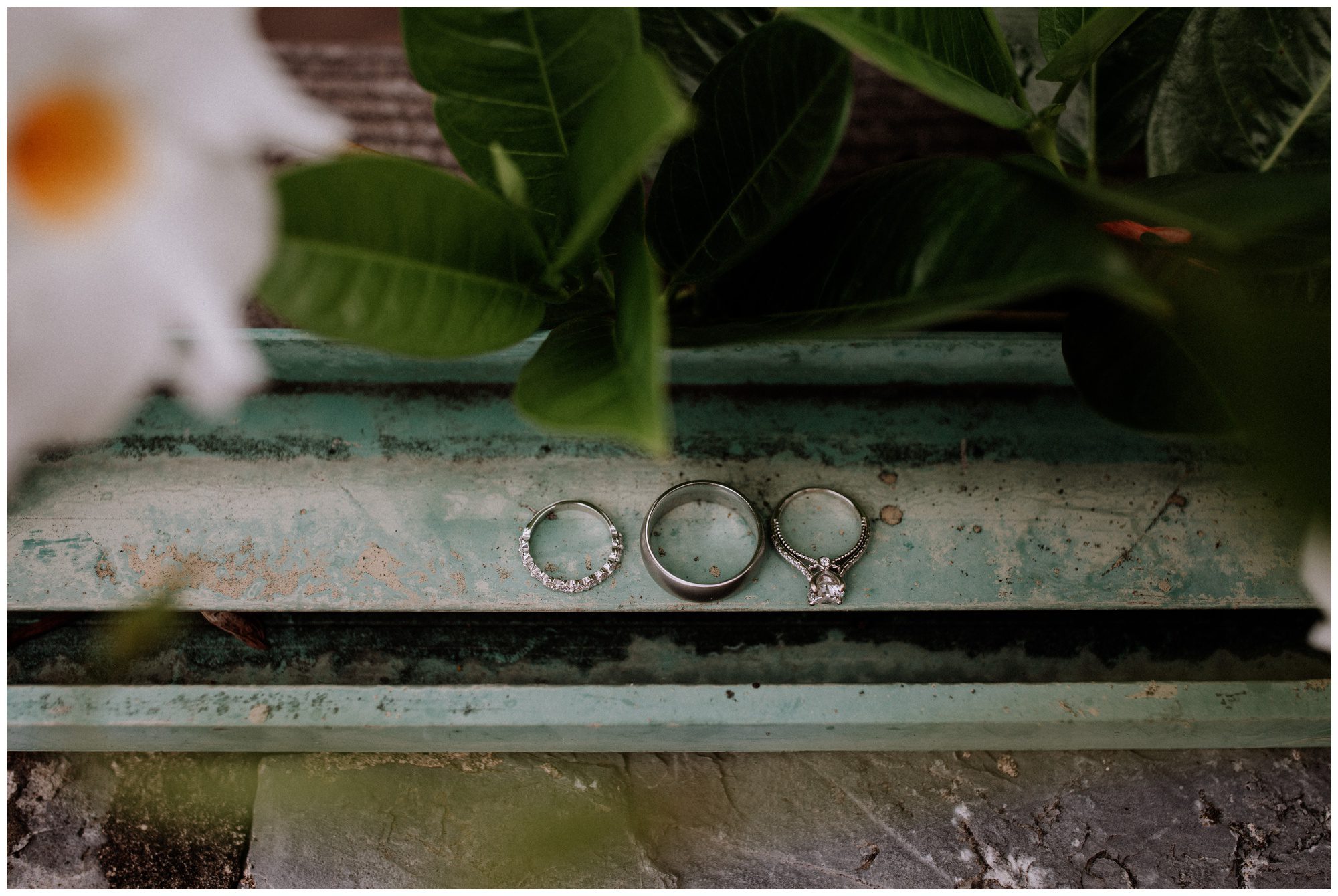 Historic Acres of Hershey Wedding-8.jpg