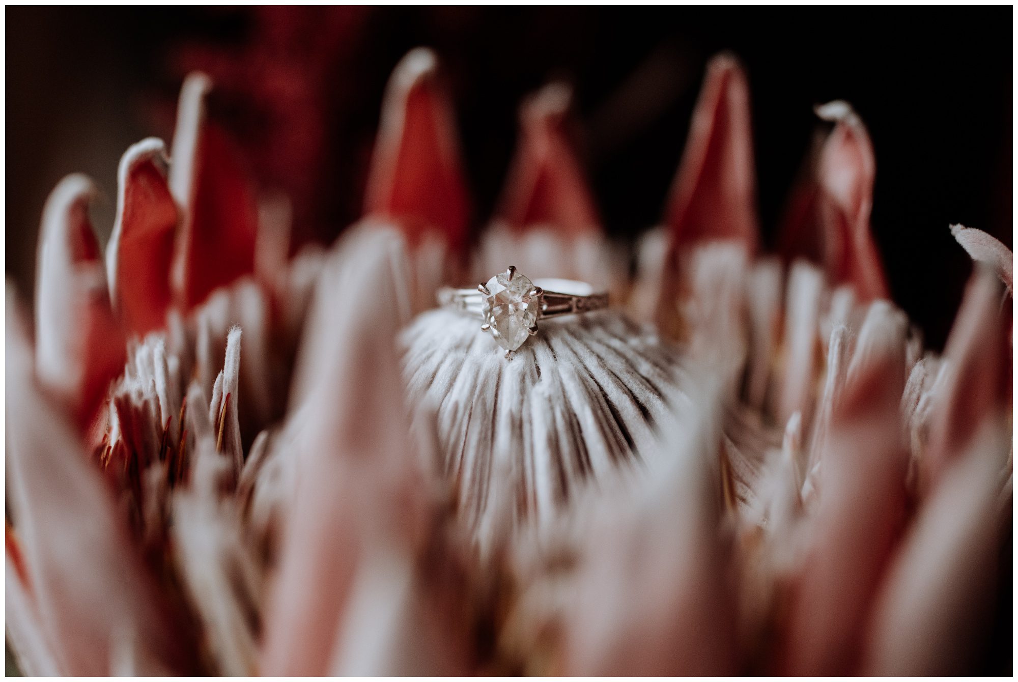 Wyndridge Farm, Pennsylvania Wedding Photographer