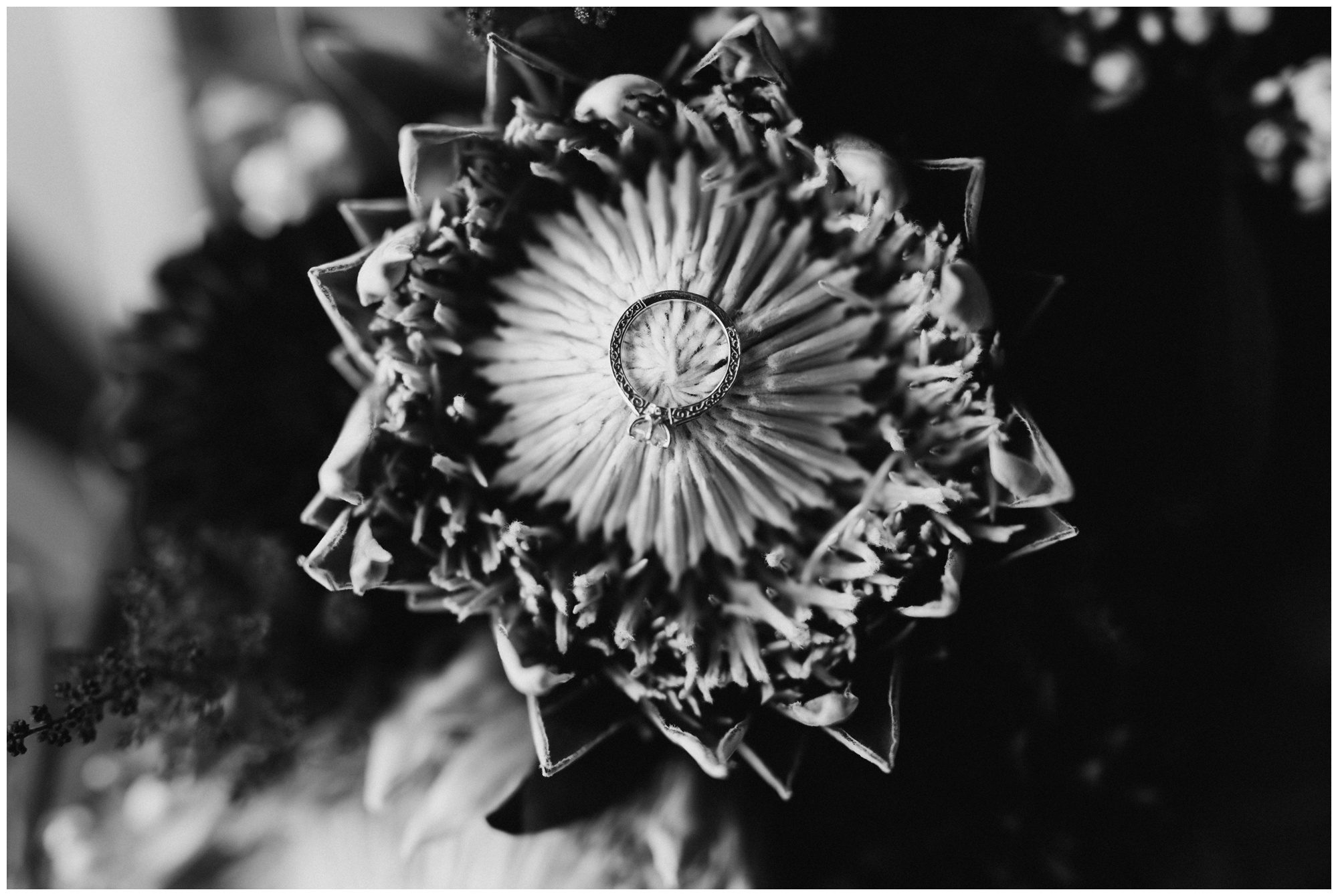 Wyndridge Farm, Pennsylvania Wedding Photographer