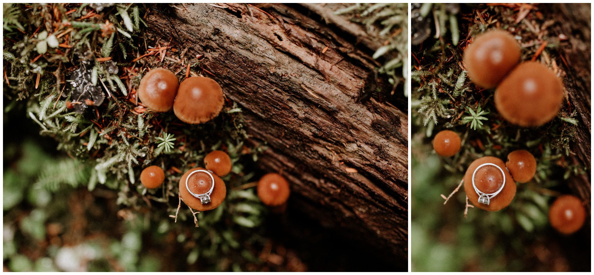 Cape Kiwanda Engagement Photographer Oregon Wedding Photographer, Oregon Coast Wedding, Cape Kiwanda Wedding