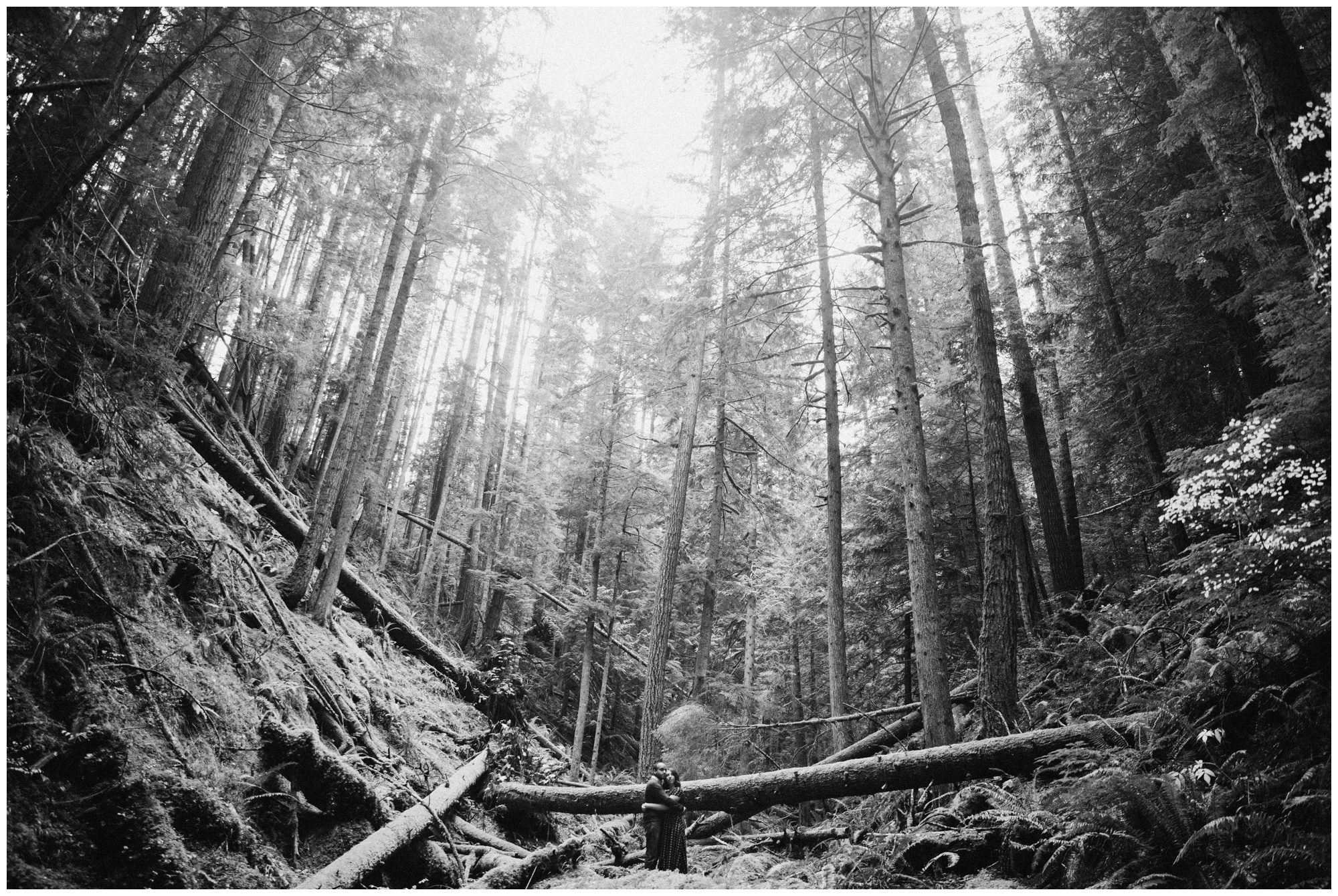 Cape Kiwanda Engagement Photographer Oregon Wedding Photographer, Oregon Coast Wedding, Cape Kiwanda Wedding