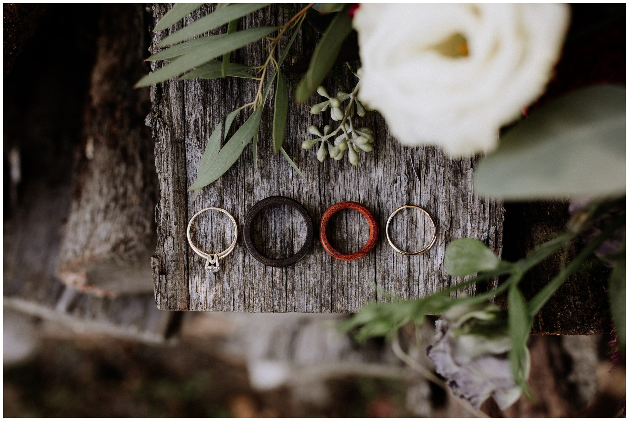 Shenandoah Virginia Wedding Photographer-143.jpg