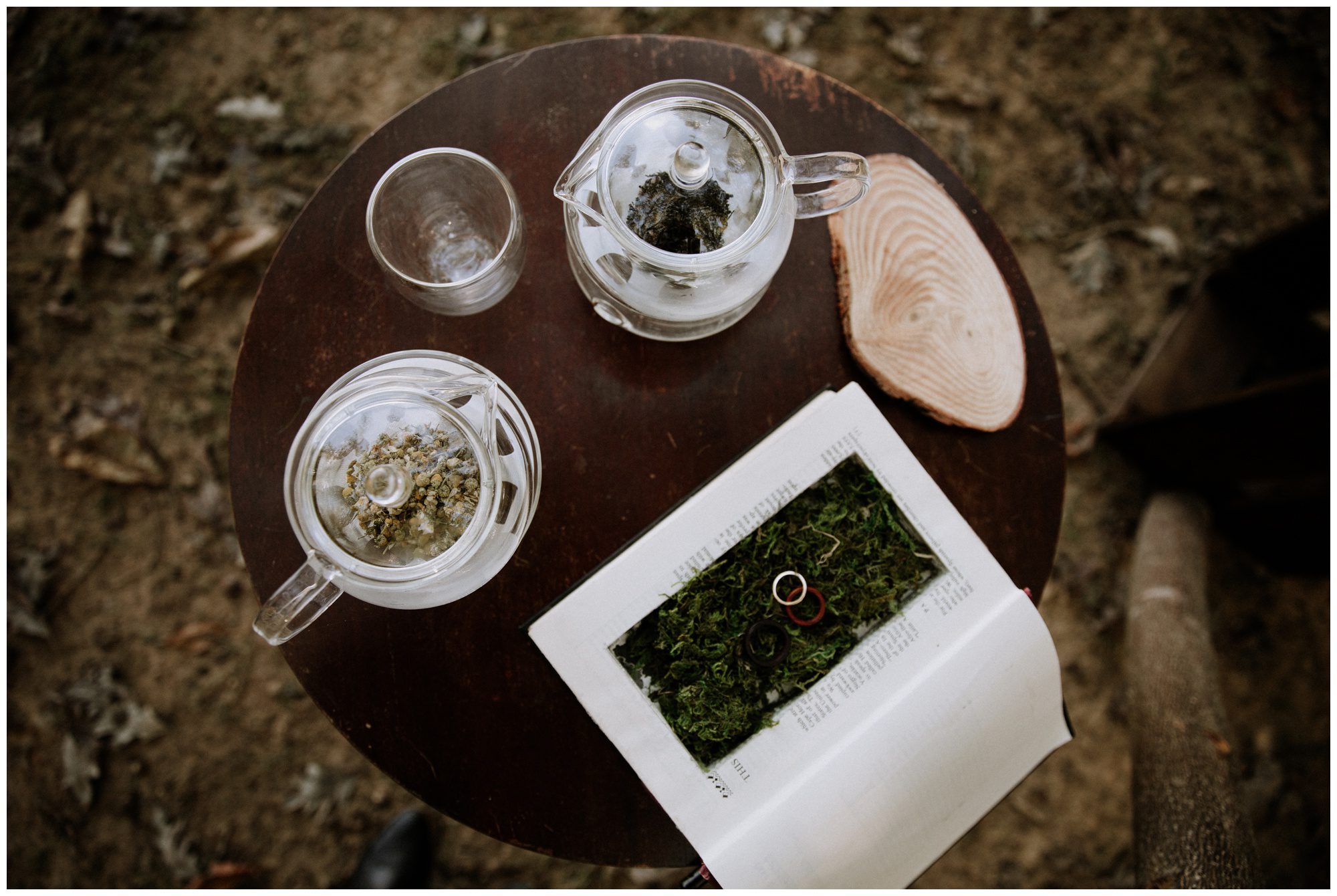 Shenandoah Virginia Wedding Photographer-147.jpg