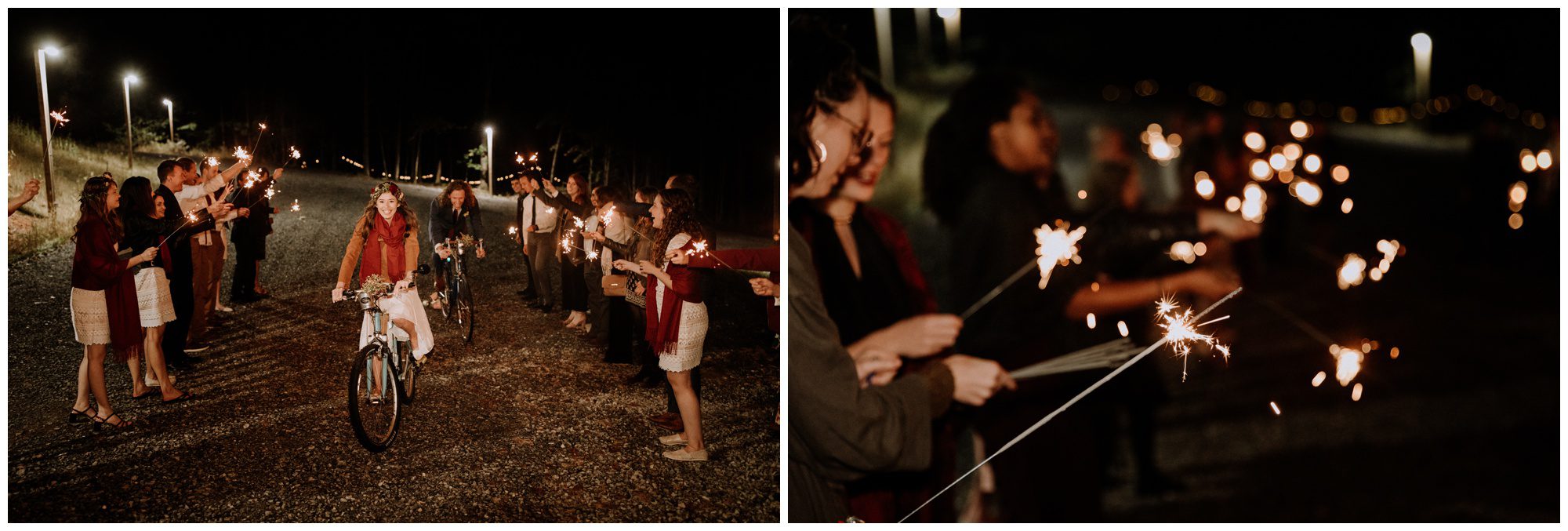 Shenandoah Virginia Wedding Photographer-217.jpg