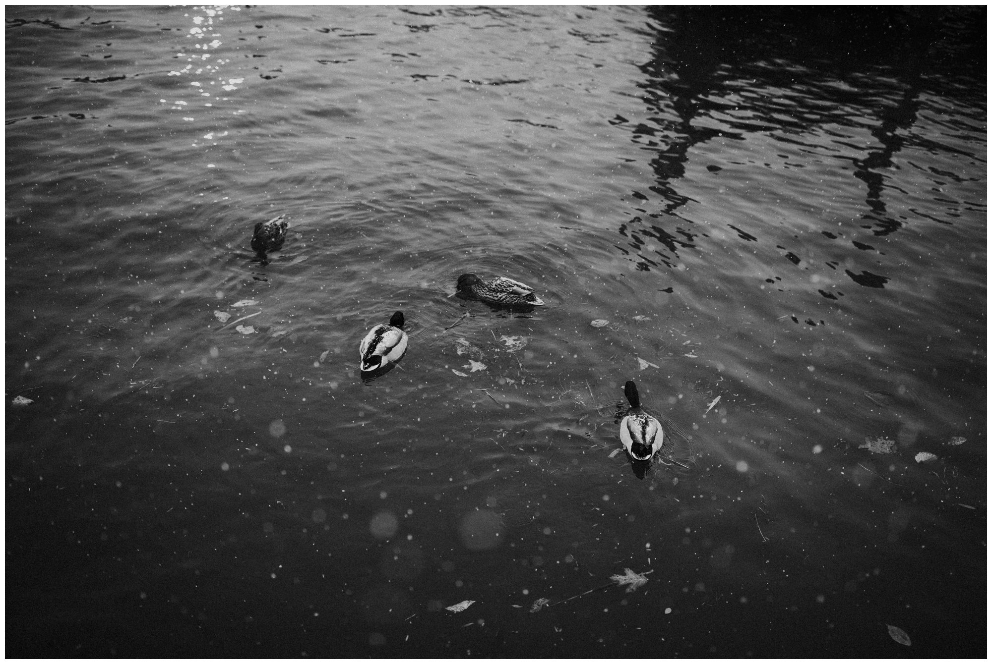 Annapolis Maryland Snowy Engagement Photographer-26.jpg