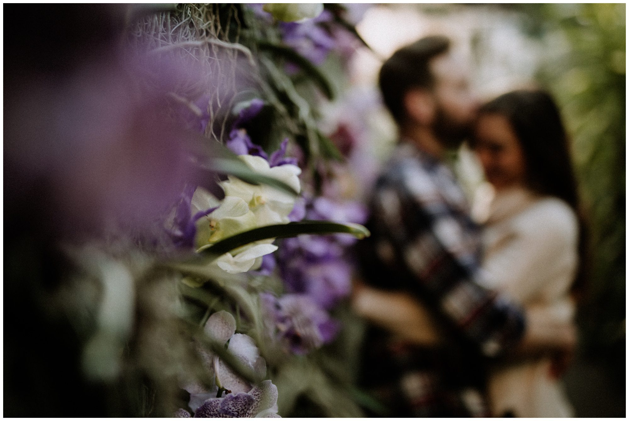 Longwood Gardens Greenhouse Photographer-90.jpg
