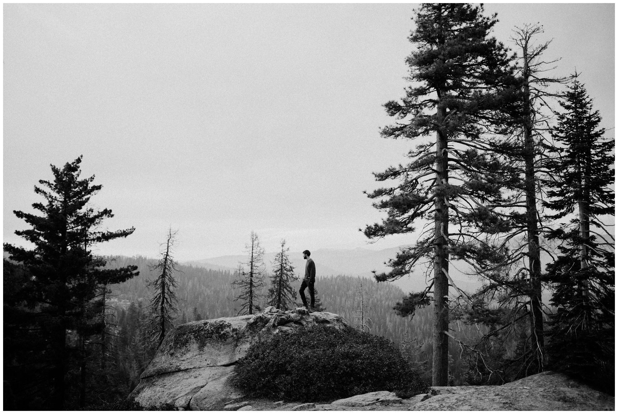 Sequoia National Park Photography-100.jpg