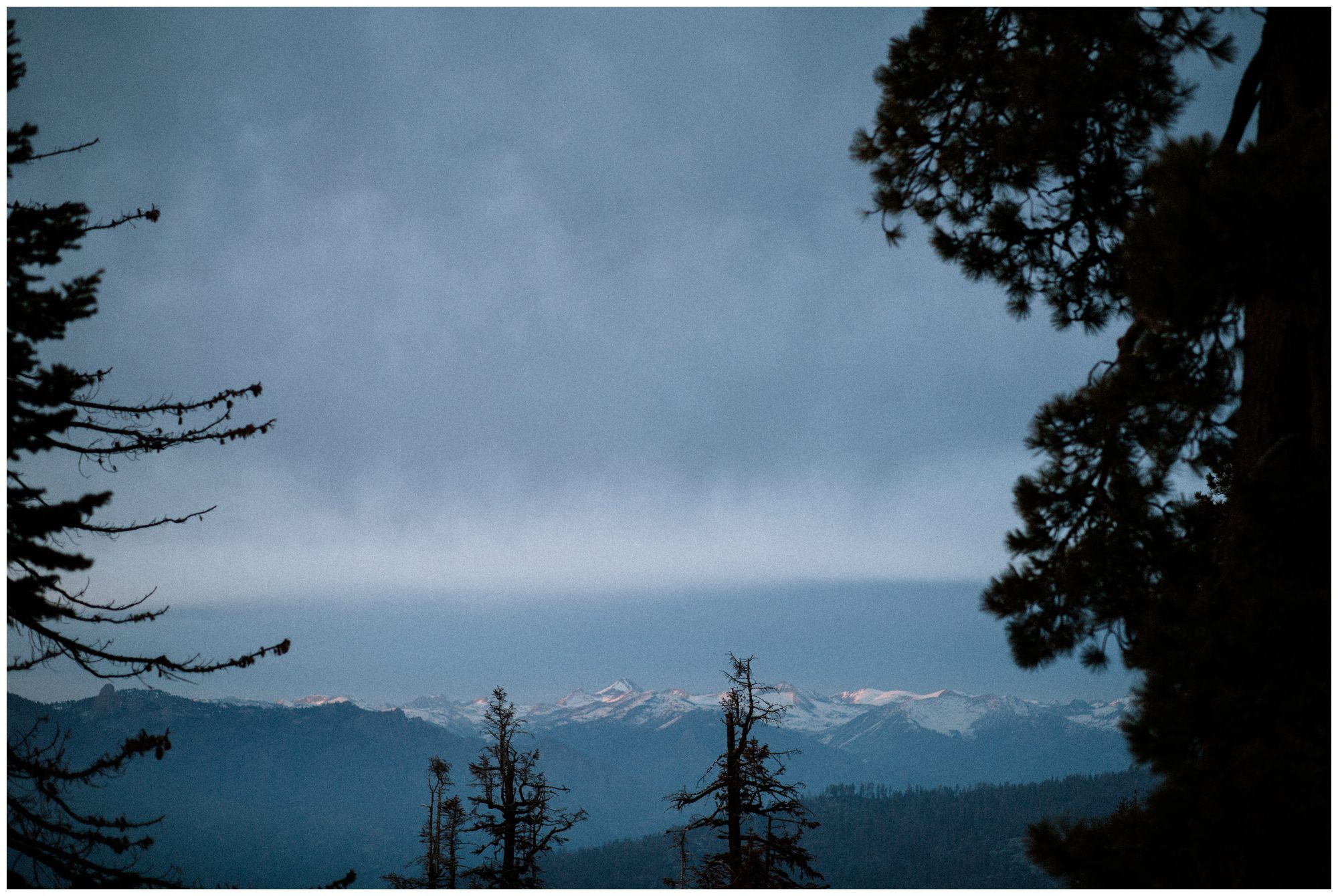 Sequoia National Park Photography-103.jpg