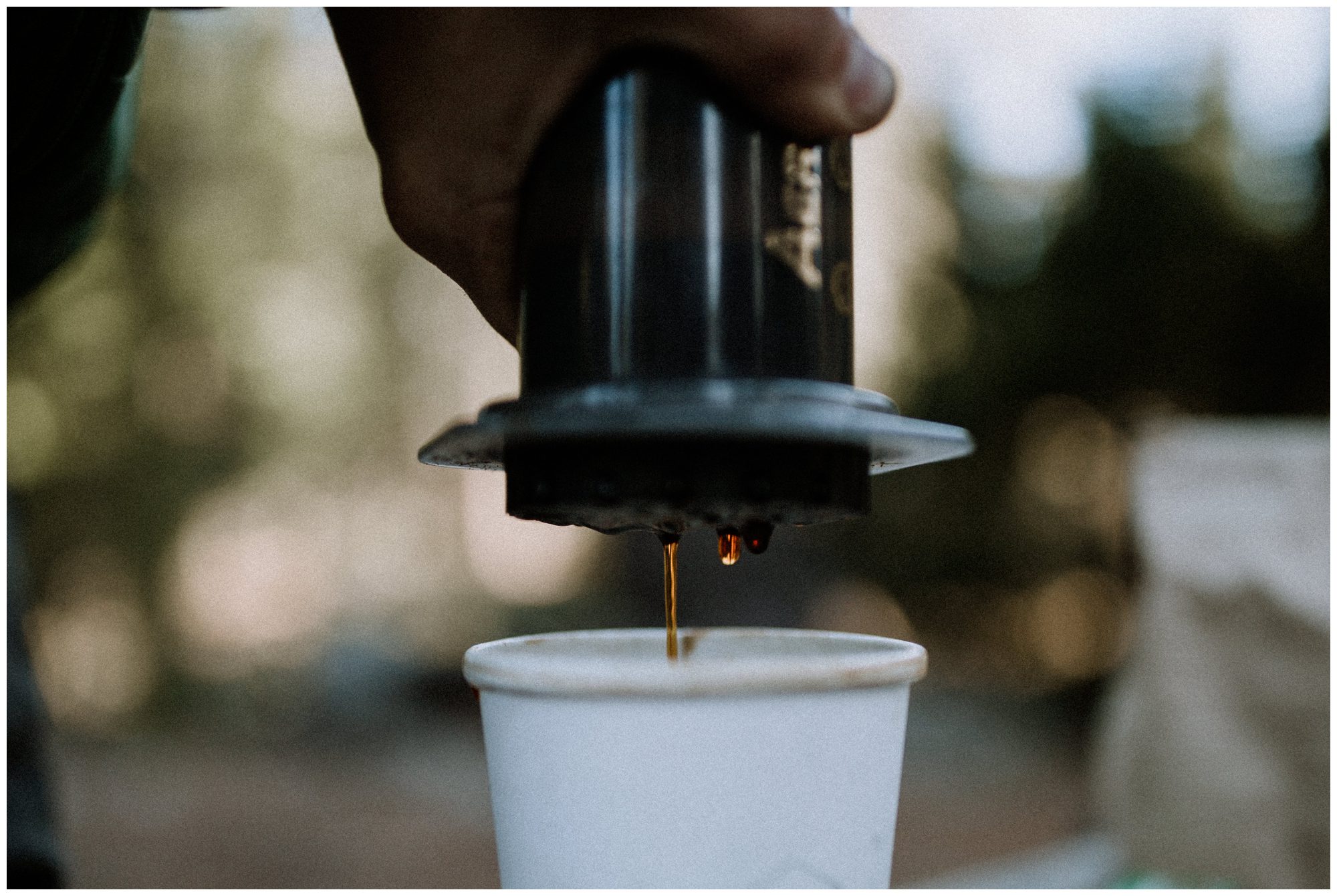 Sequoia National Park Photography-123.jpg