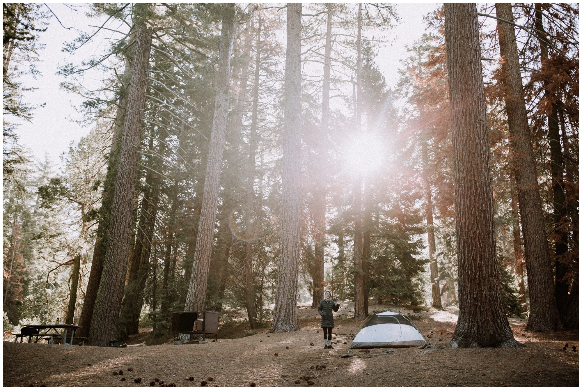 Sequoia National Park Photography-132.jpg