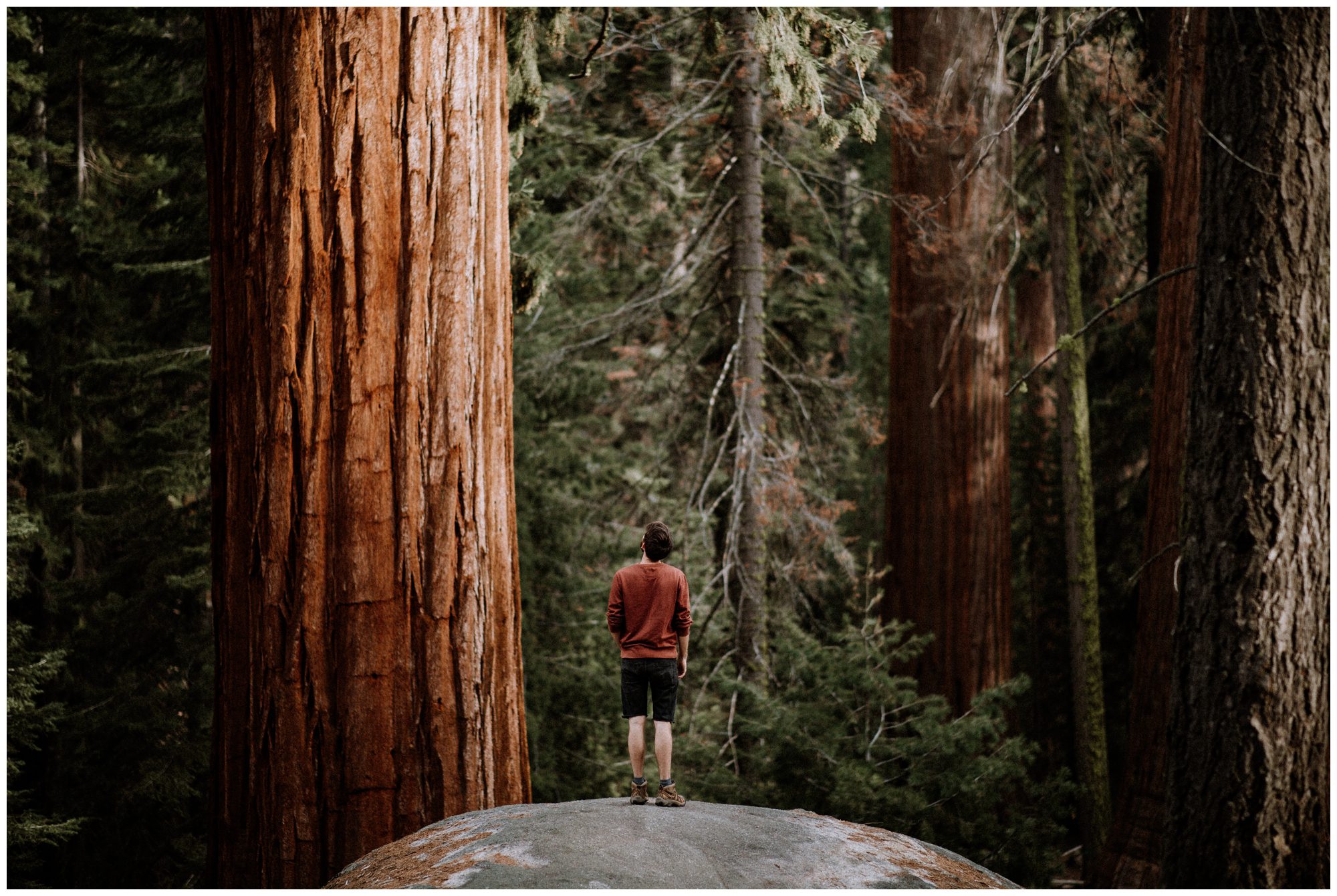 Sequoia National Park Photography-18.jpg