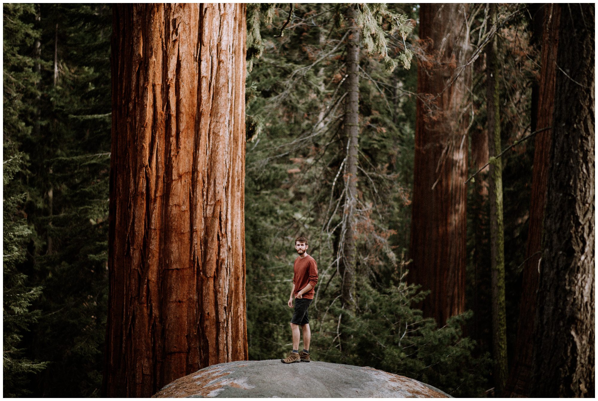 Sequoia National Park Photography-19.jpg