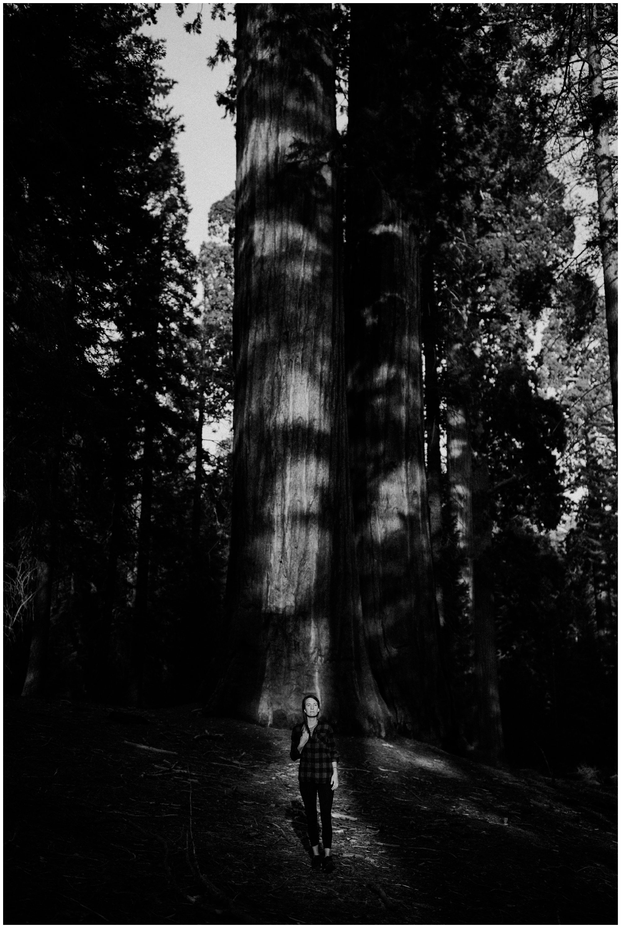 Sequoia National Park Photography-27.jpg