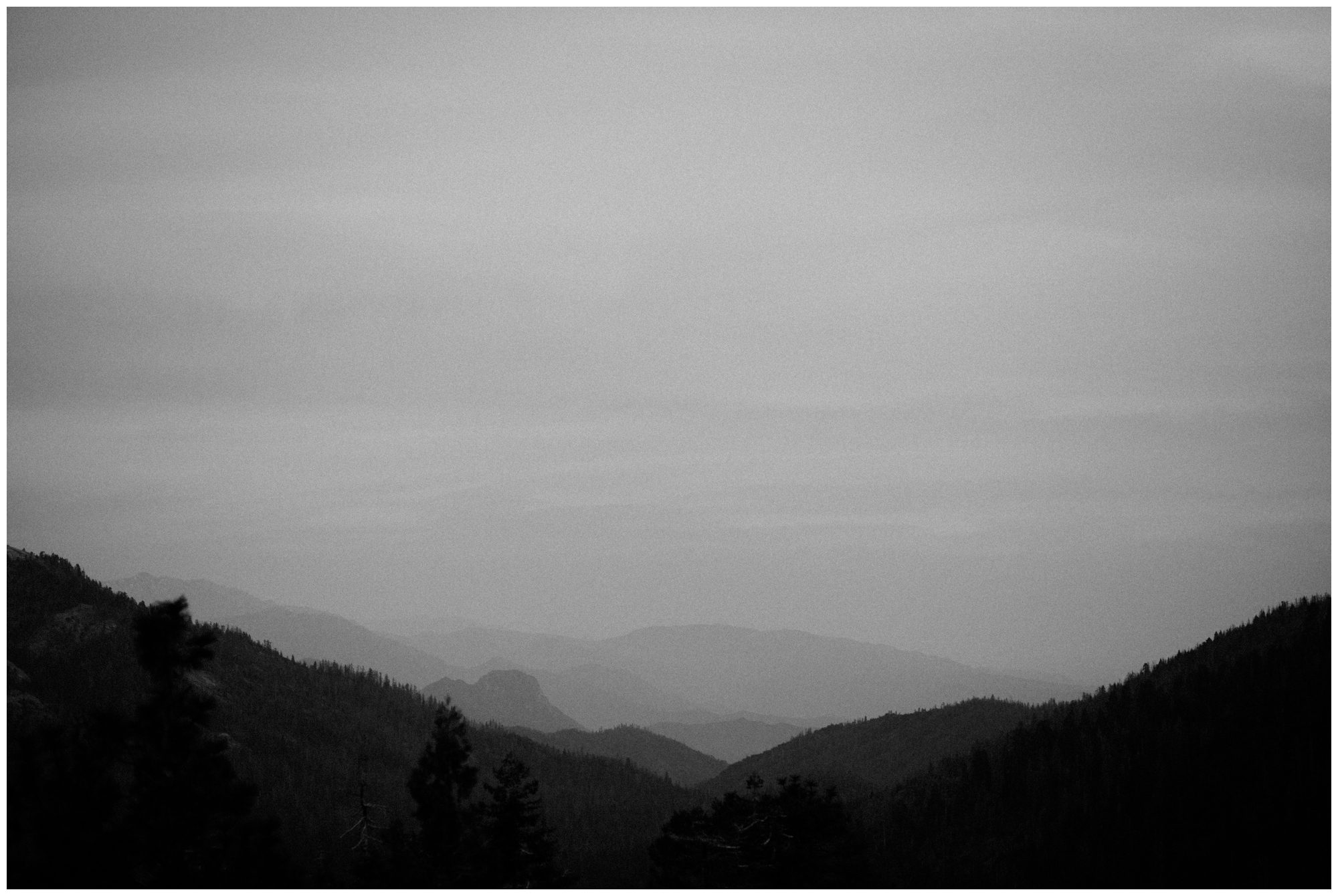 Sequoia National Park Photography-28.jpg