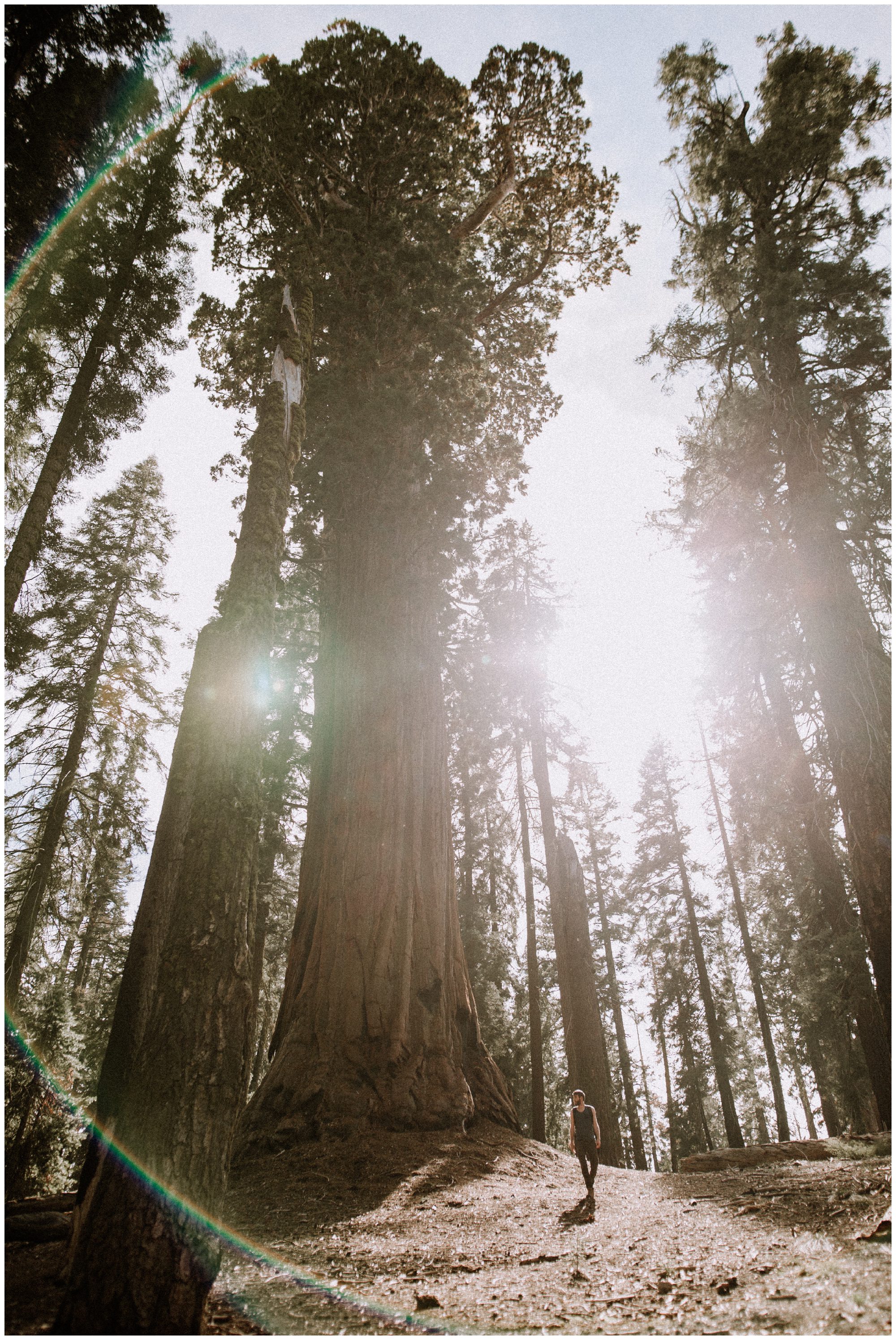 Sequoia National Park Photography-50.jpg