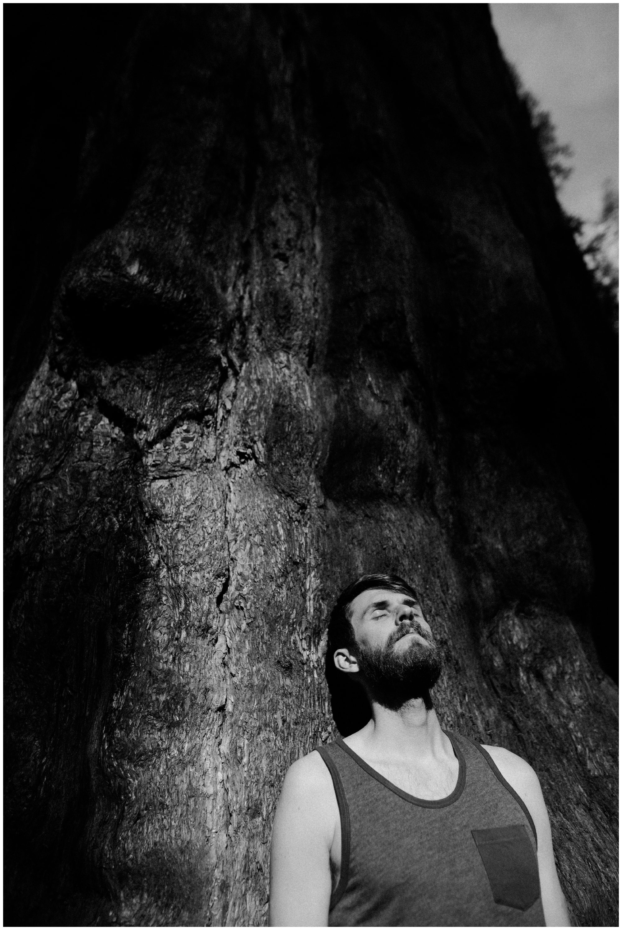 Sequoia National Park Photography-52.jpg