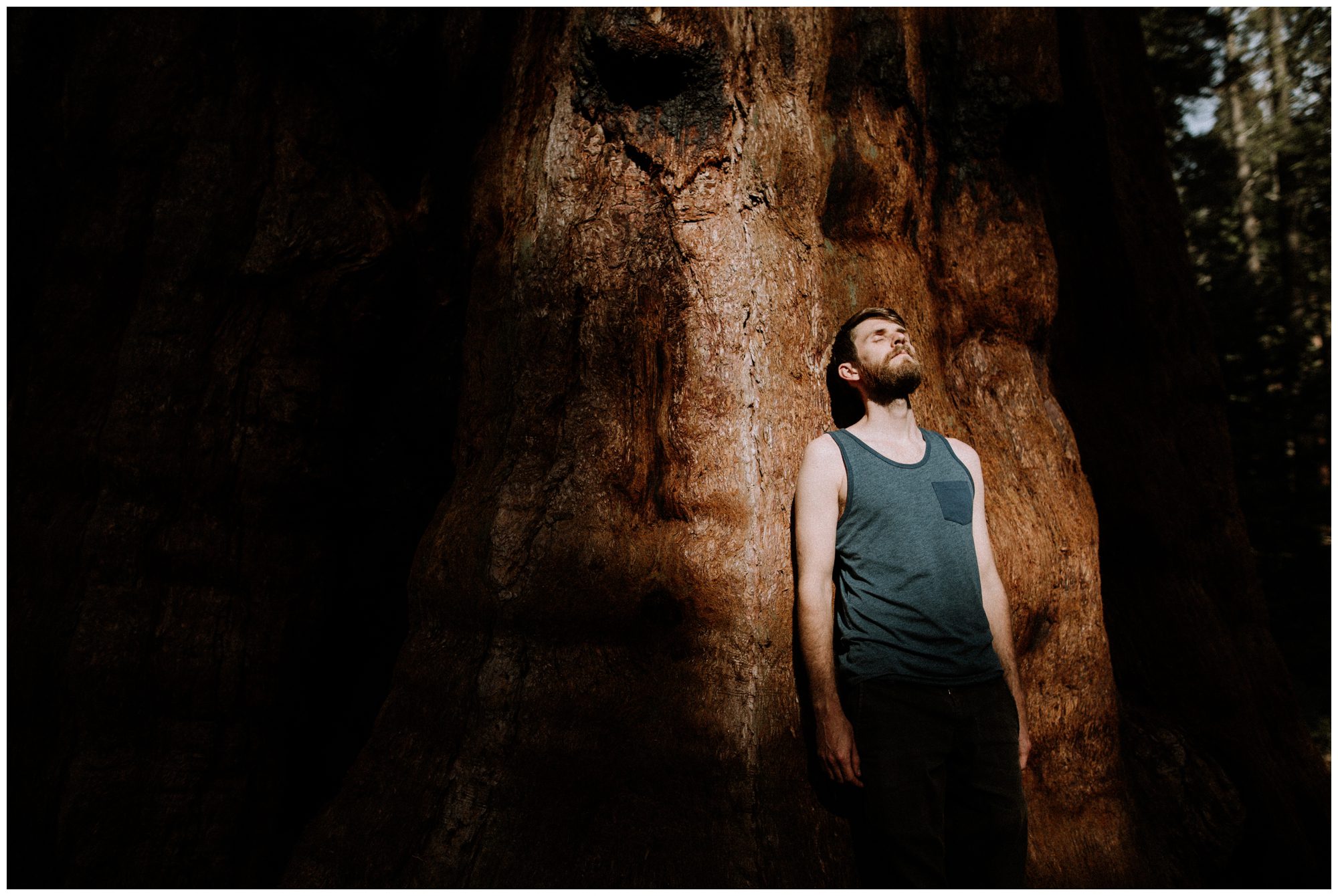 Sequoia National Park Photography-53.jpg