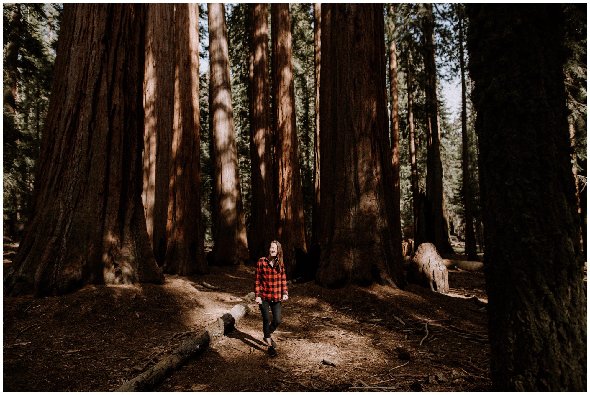 Sequoia National Park Photography-63.jpg