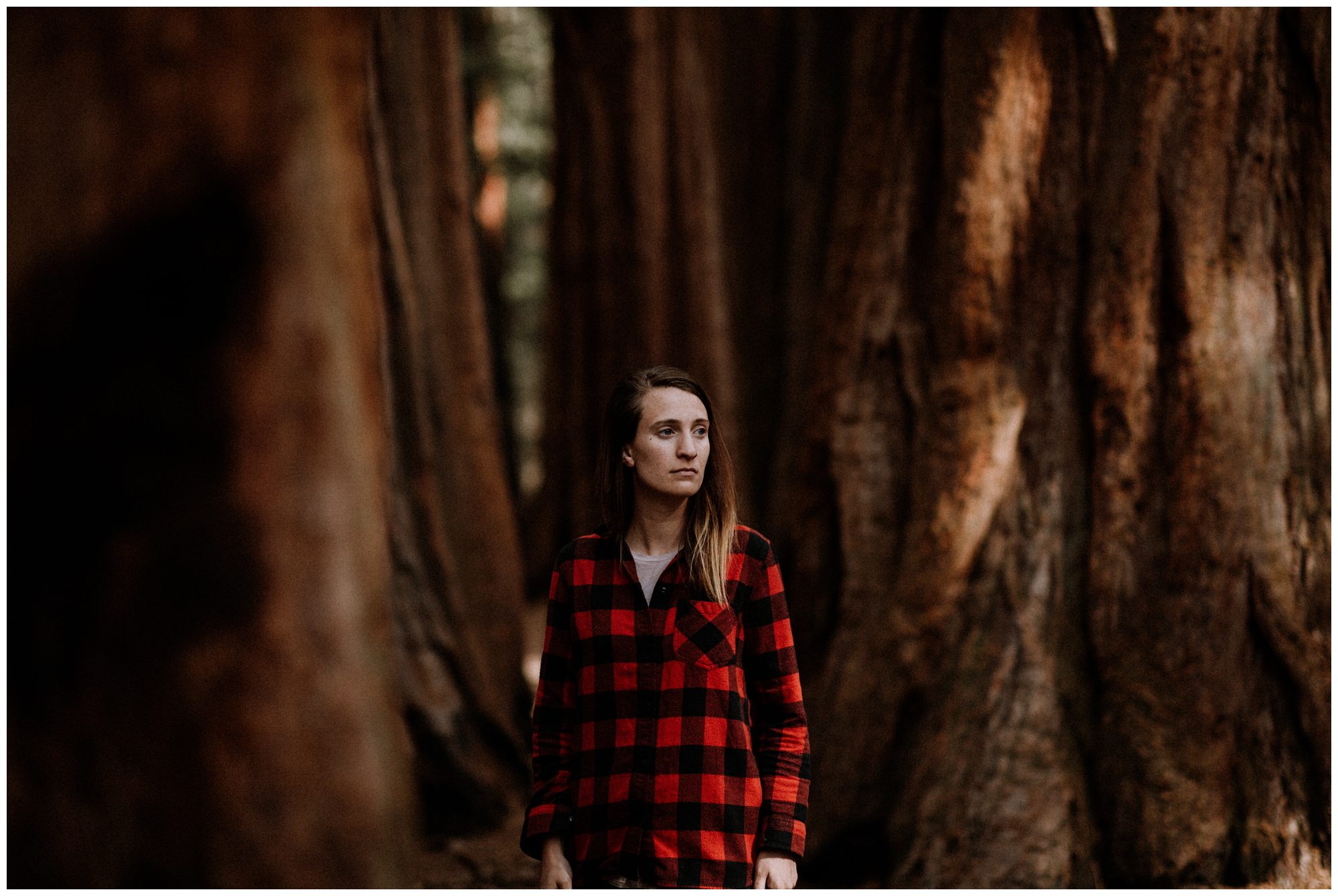 Sequoia National Park Photography-65.jpg