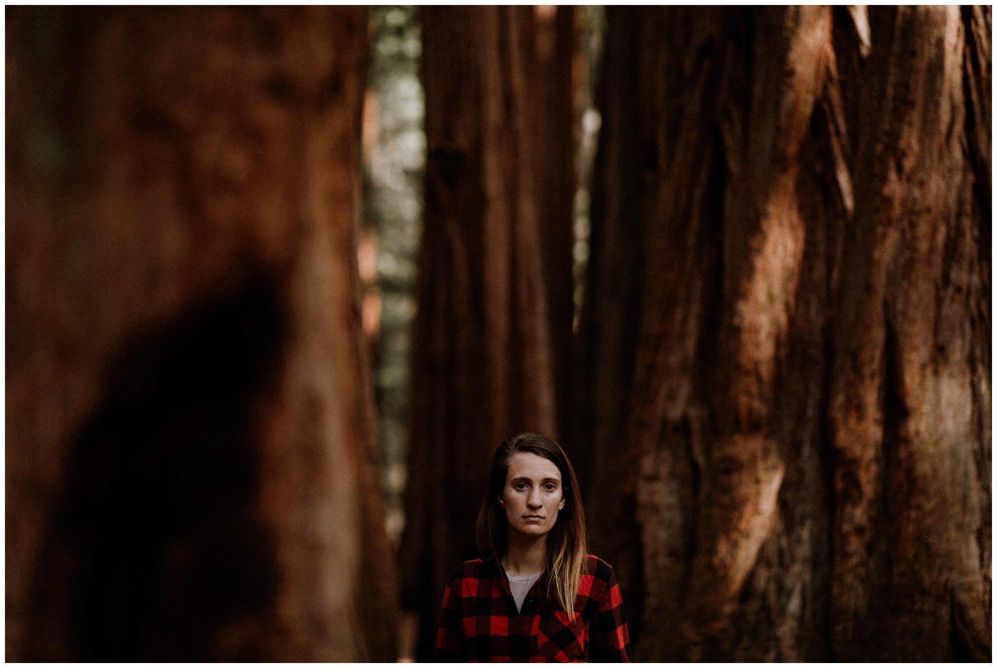 Sequoia National Park Photography-68.jpg