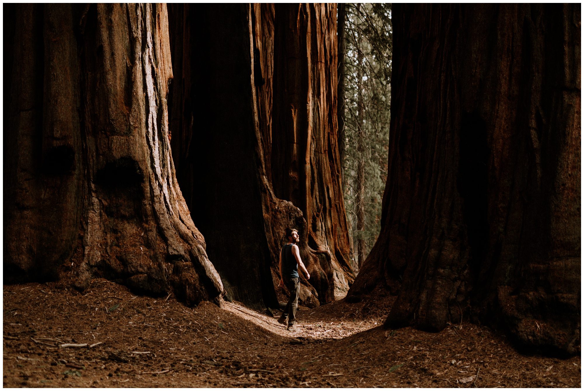 Sequoia National Park Photography-74.jpg