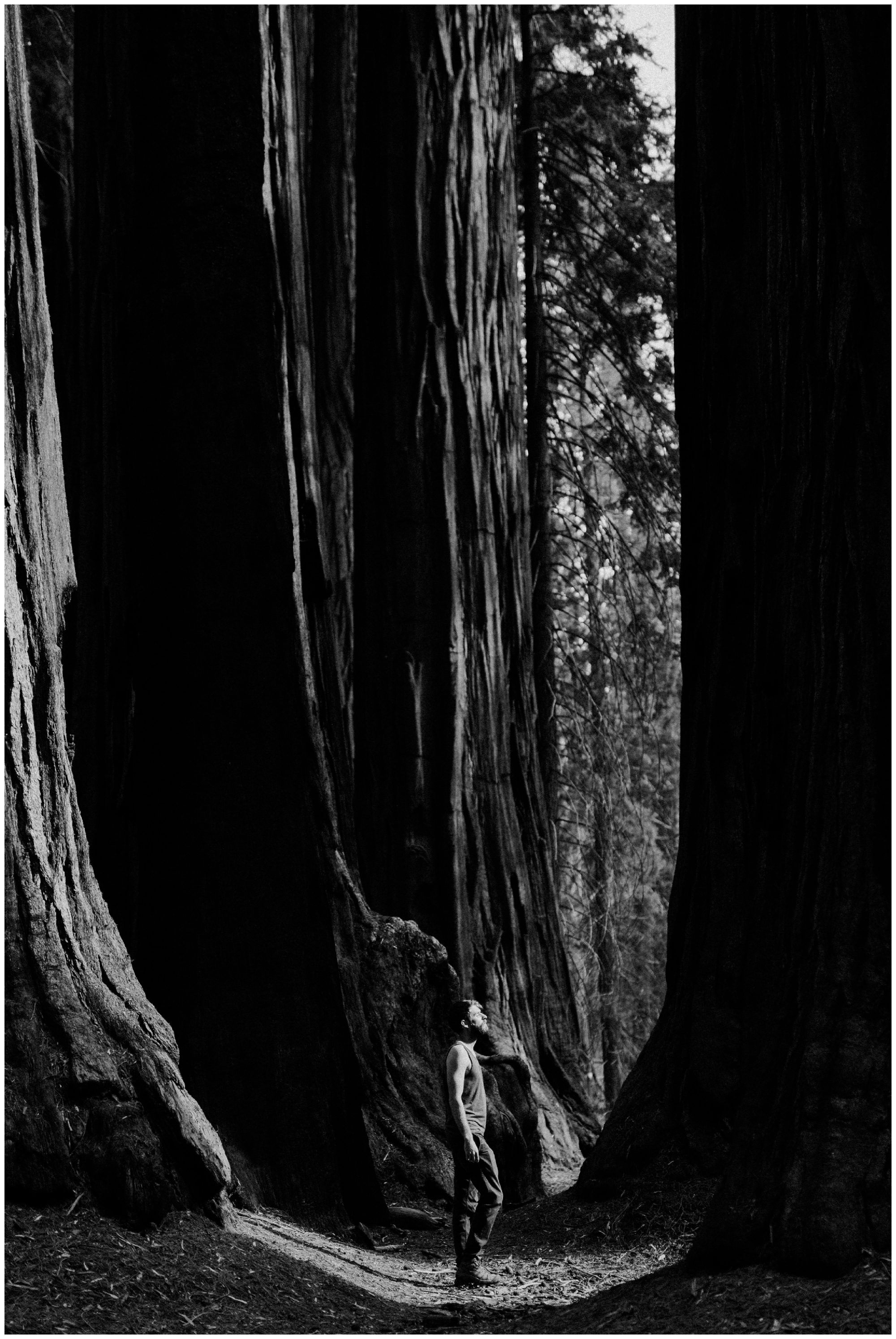 Sequoia National Park Photography-75.jpg