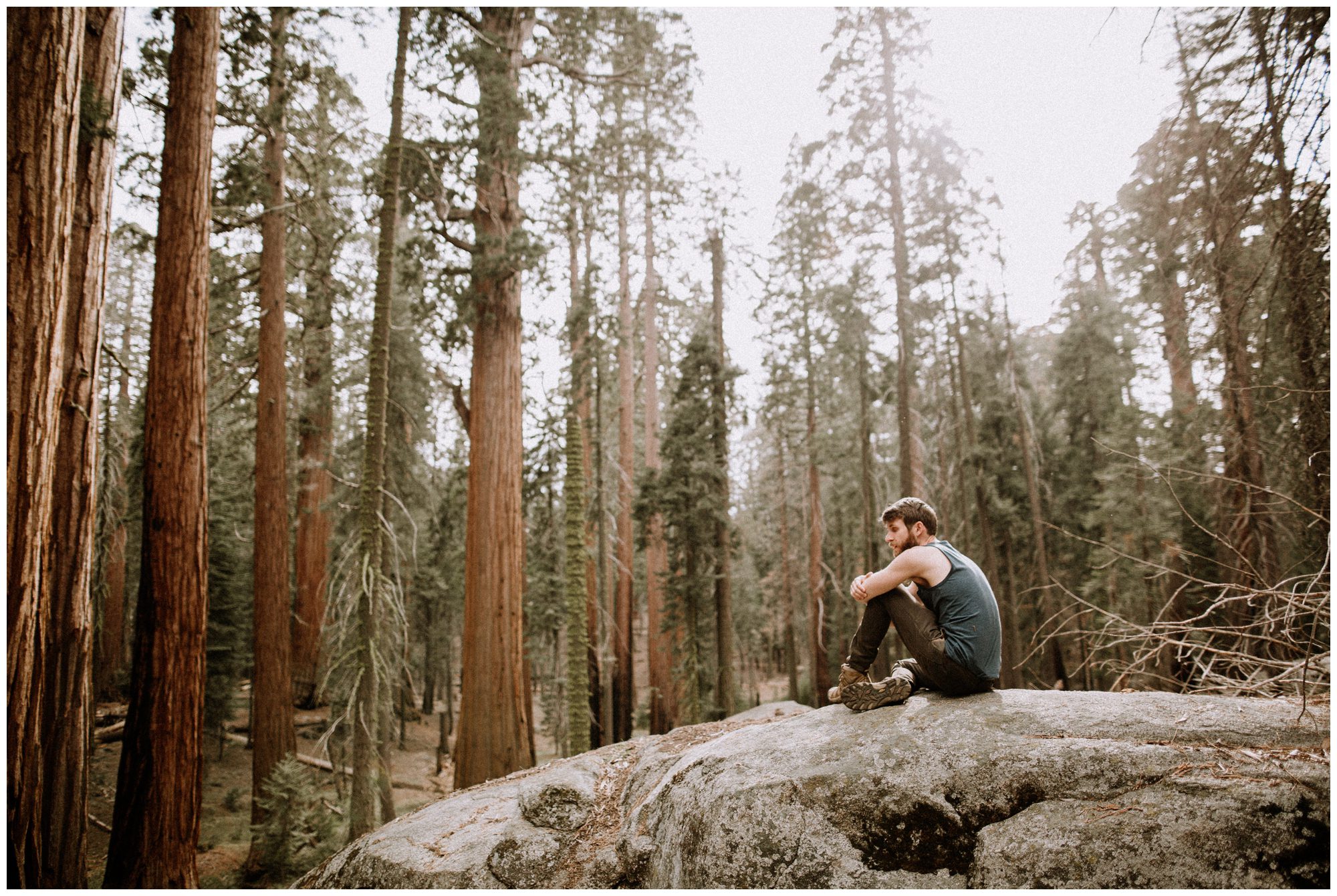 Sequoia National Park Photography-93.jpg