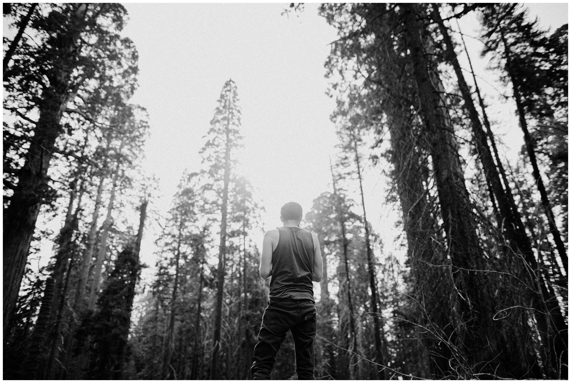 Sequoia National Park Photography-94.jpg