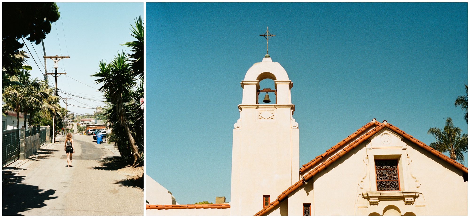 Mt Rainier National Park Elopement Photographer