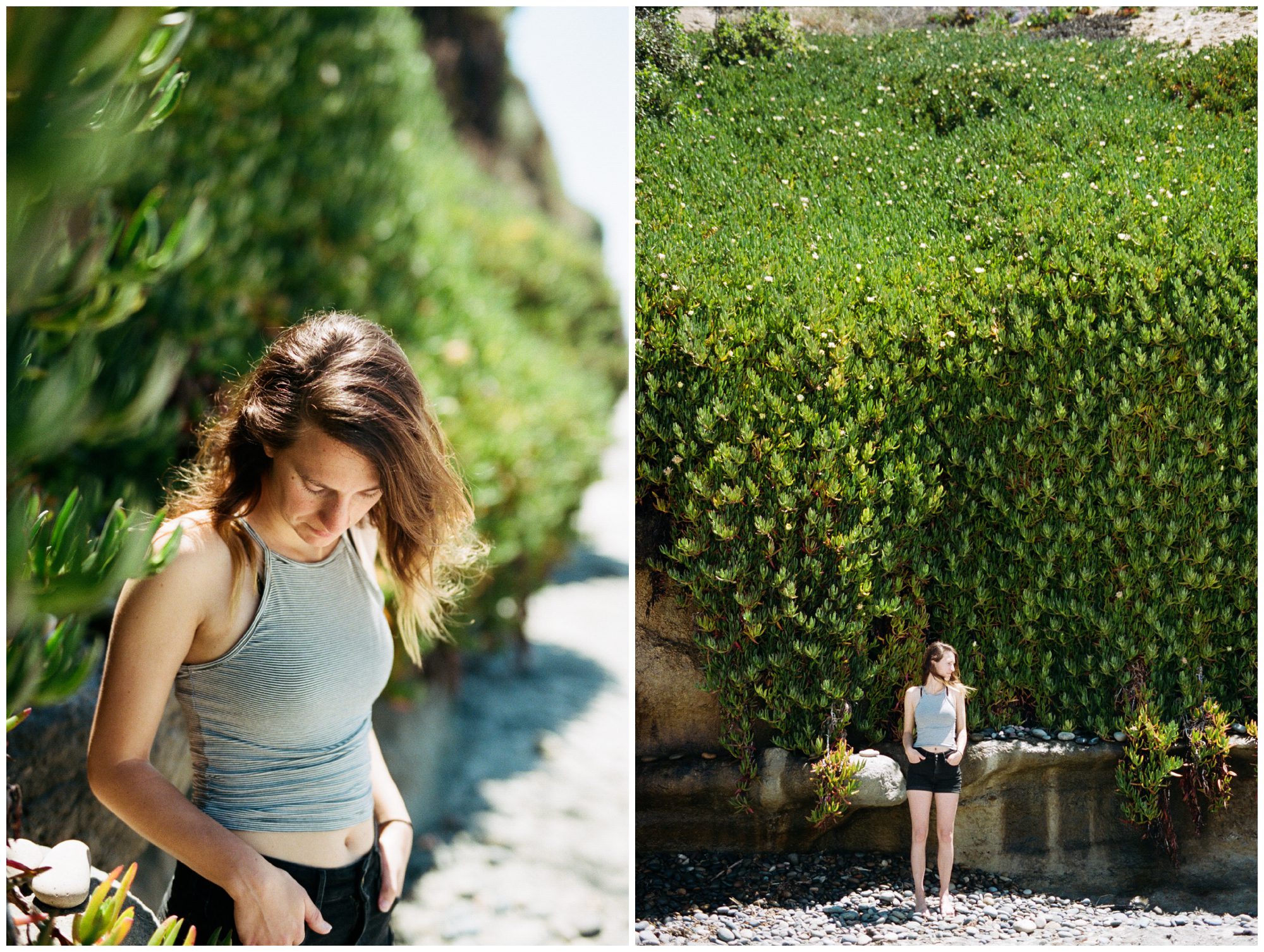 Mt Rainier National Park Elopement Photographer