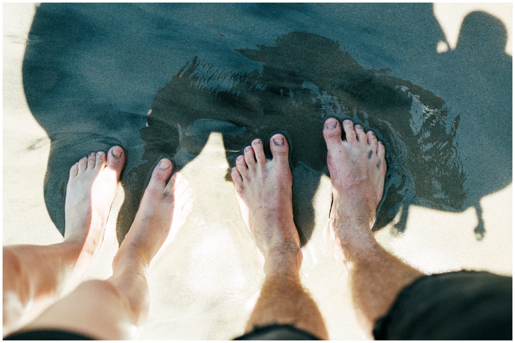Mt Rainier National Park Elopement Photographer