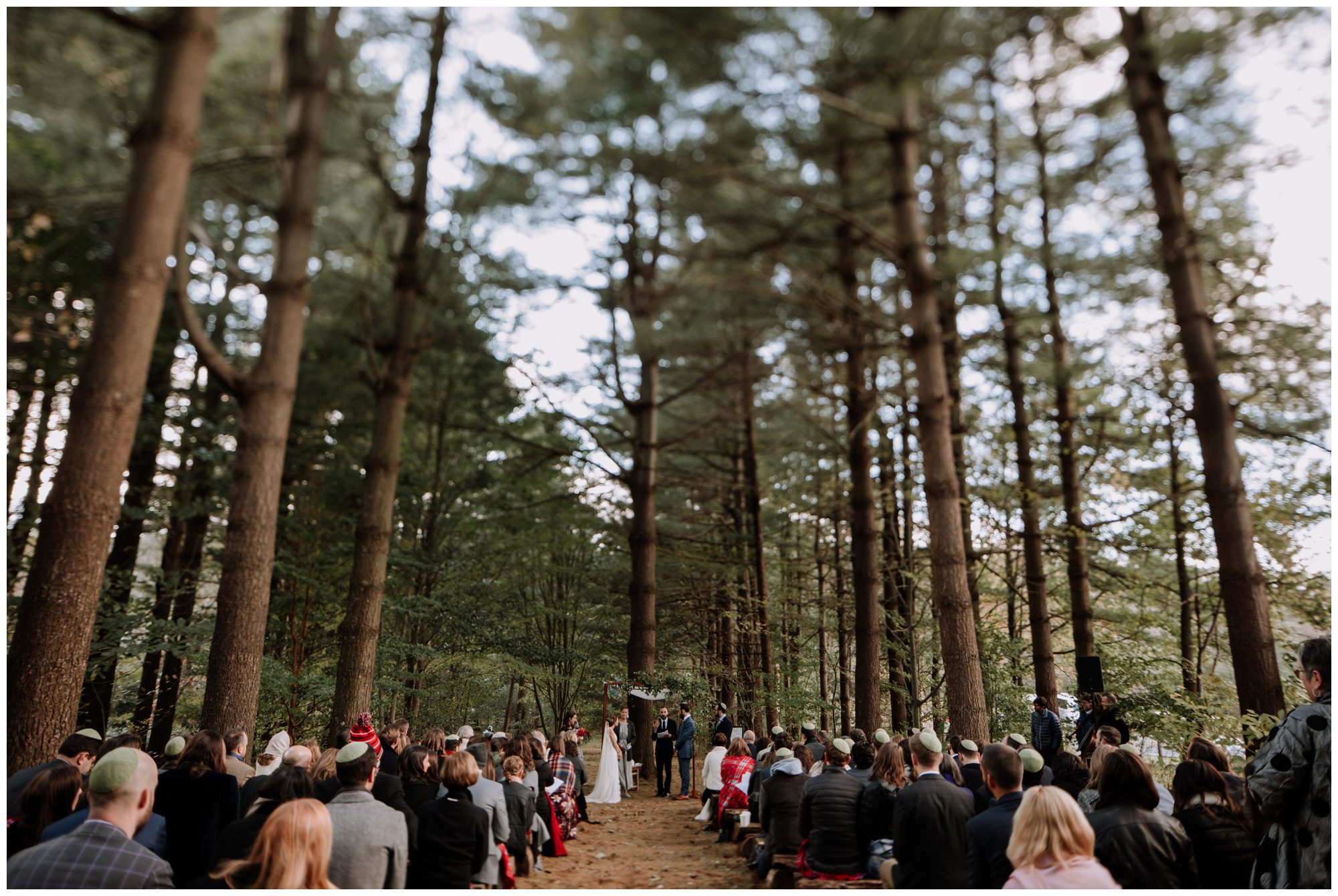 Frederick Maryland Wedding Photographer, Thorpewood Wedding Photographer, Maryland Intimate Wedding Photographer