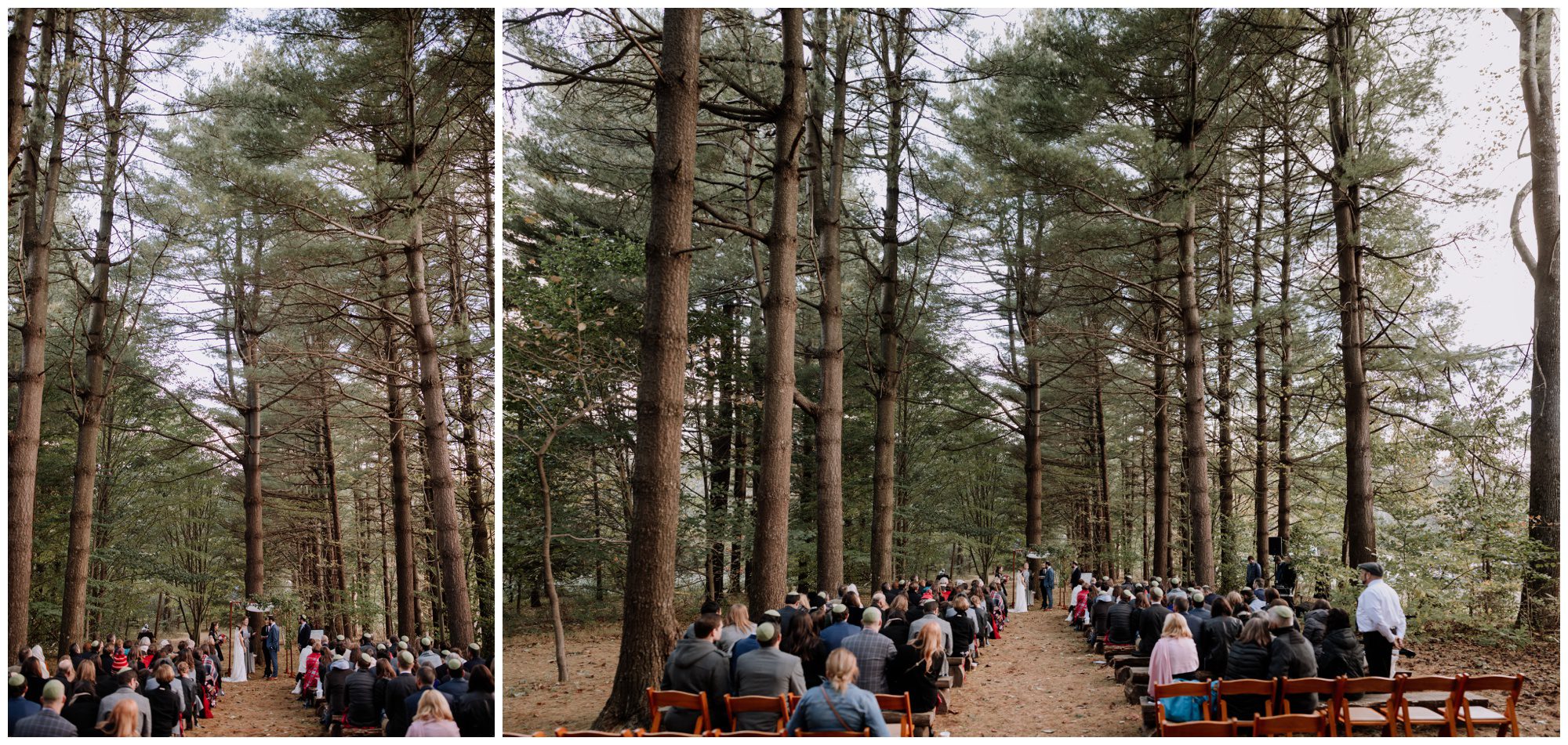 Frederick Maryland Wedding Photographer, Thorpewood Wedding Photographer, Maryland Intimate Wedding Photographer