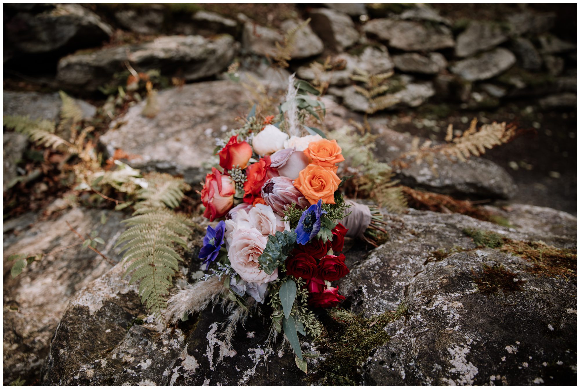 Frederick Maryland Wedding Photographer, Thorpewood Wedding Photographer, Maryland Intimate Wedding Photographer