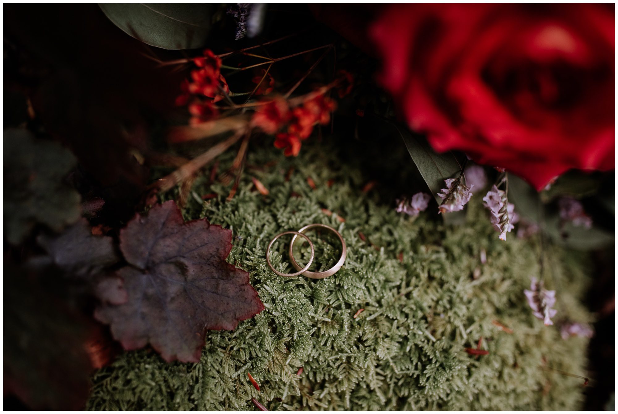 Frederick Maryland Wedding Photographer, Thorpewood Wedding Photographer, Maryland Intimate Wedding Photographer