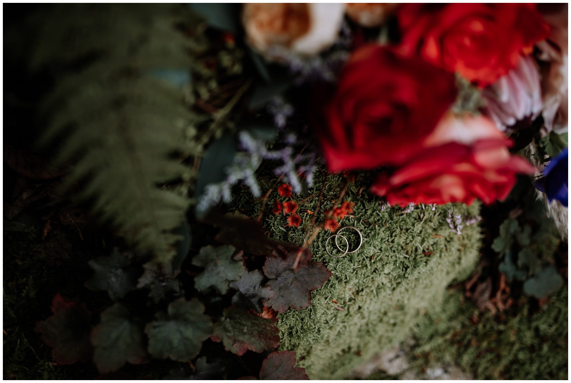 Frederick Maryland Wedding Photographer, Thorpewood Wedding Photographer, Maryland Intimate Wedding Photographer