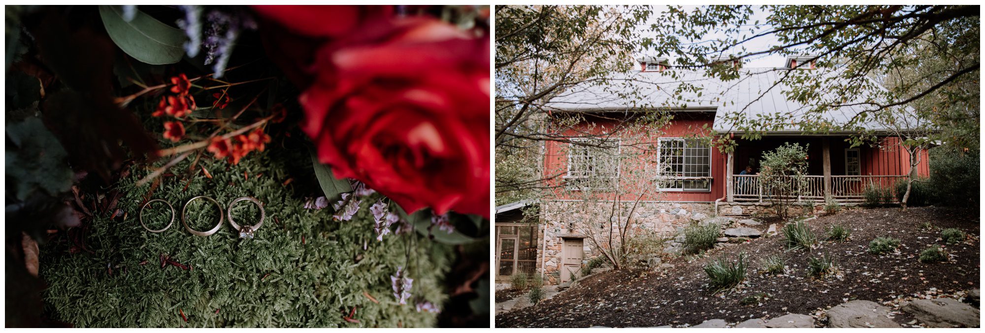 Frederick Maryland Wedding Photographer, Thorpewood Wedding Photographer, Maryland Intimate Wedding Photographer