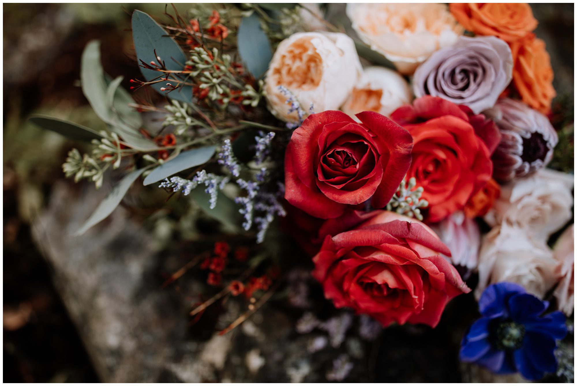 Frederick Maryland Wedding Photographer, Thorpewood Wedding Photographer, Maryland Intimate Wedding Photographer