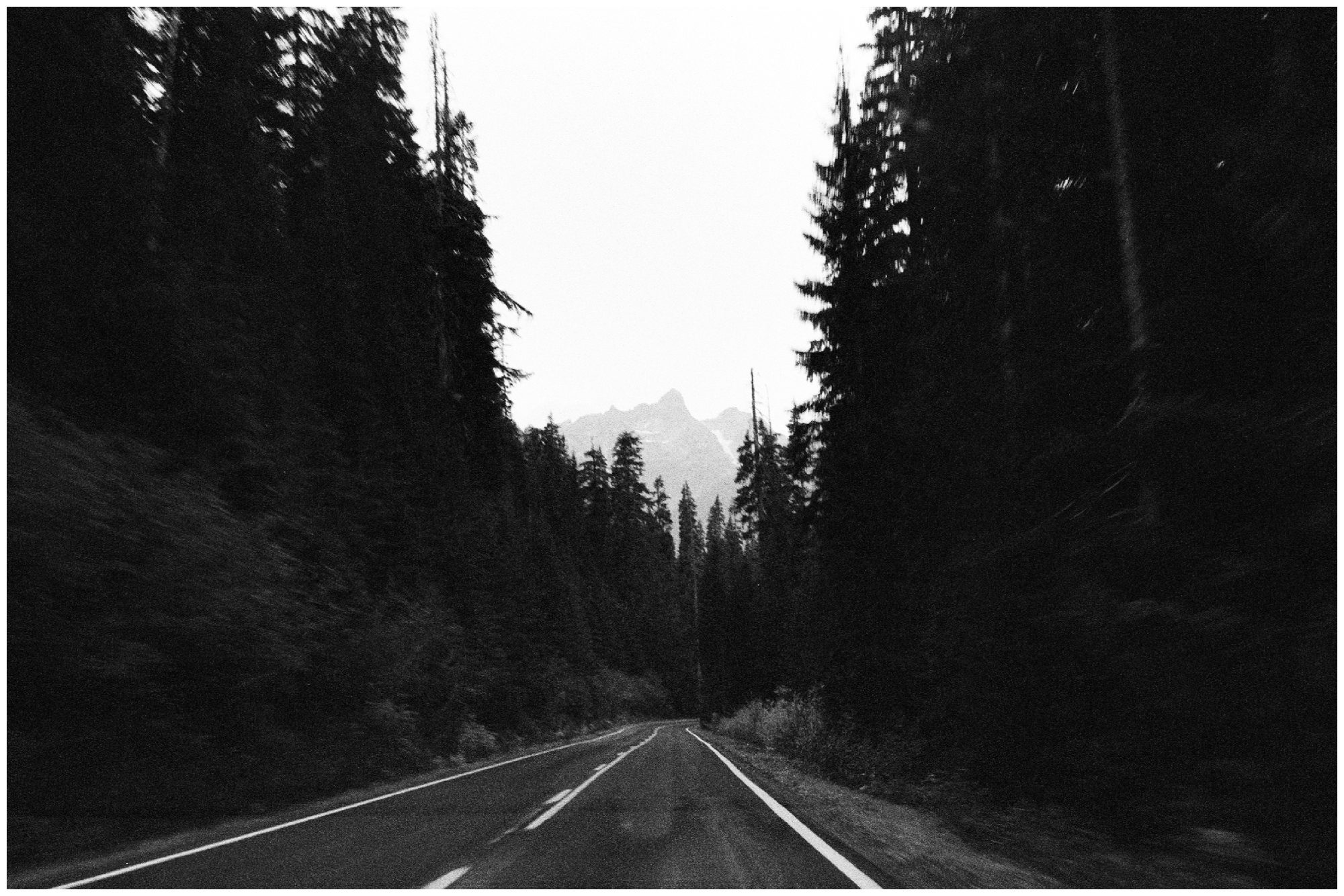 Olympic National Park Elopement Photographer