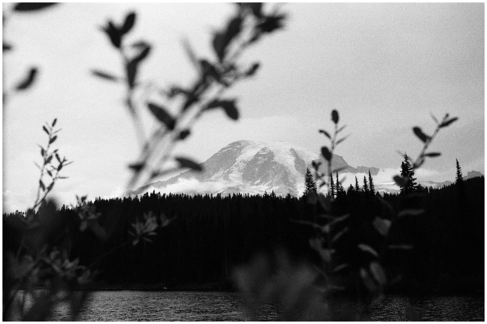 Olympic National Park Elopement Photographer