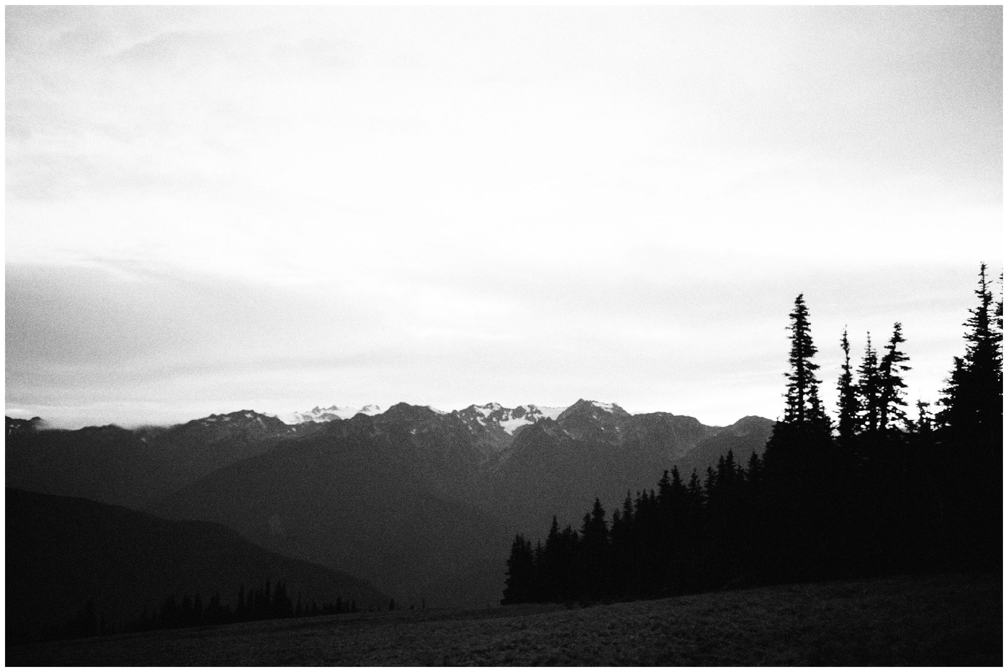 Olympic National Park Elopement Photographer