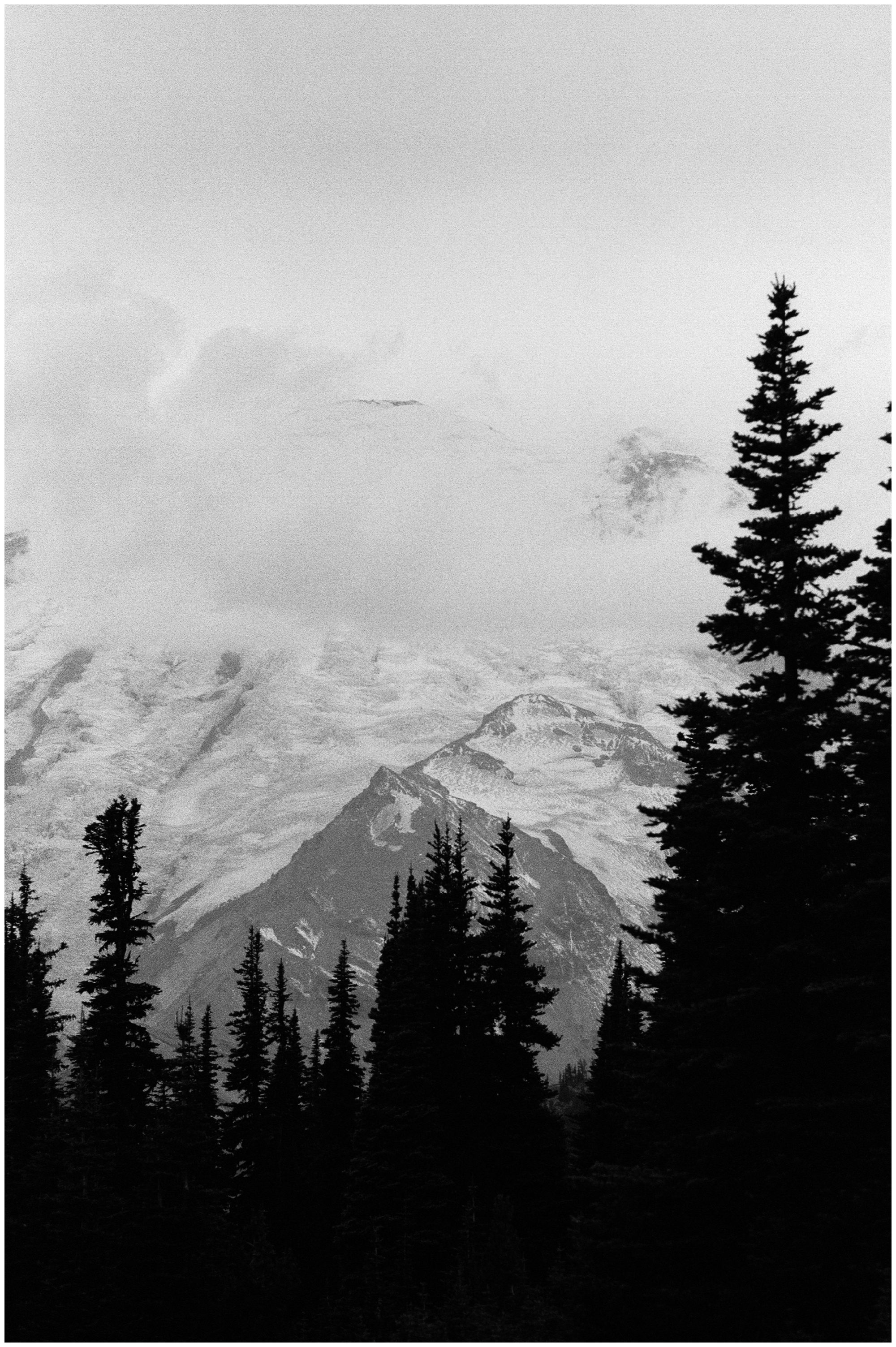 Olympic National Park Elopement Photographer