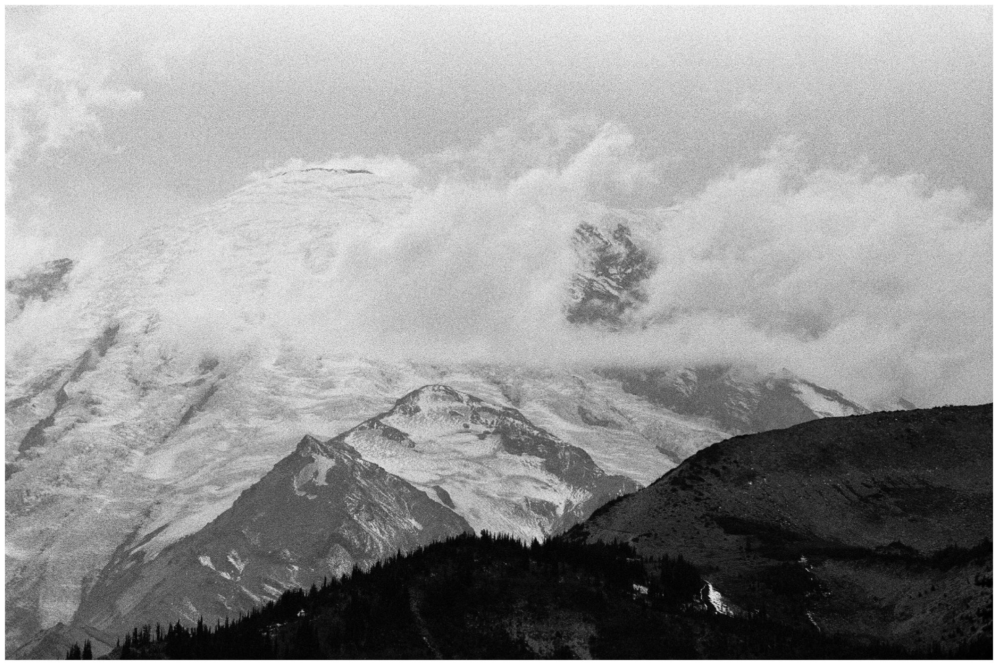 Olympic National Park Elopement Photographer