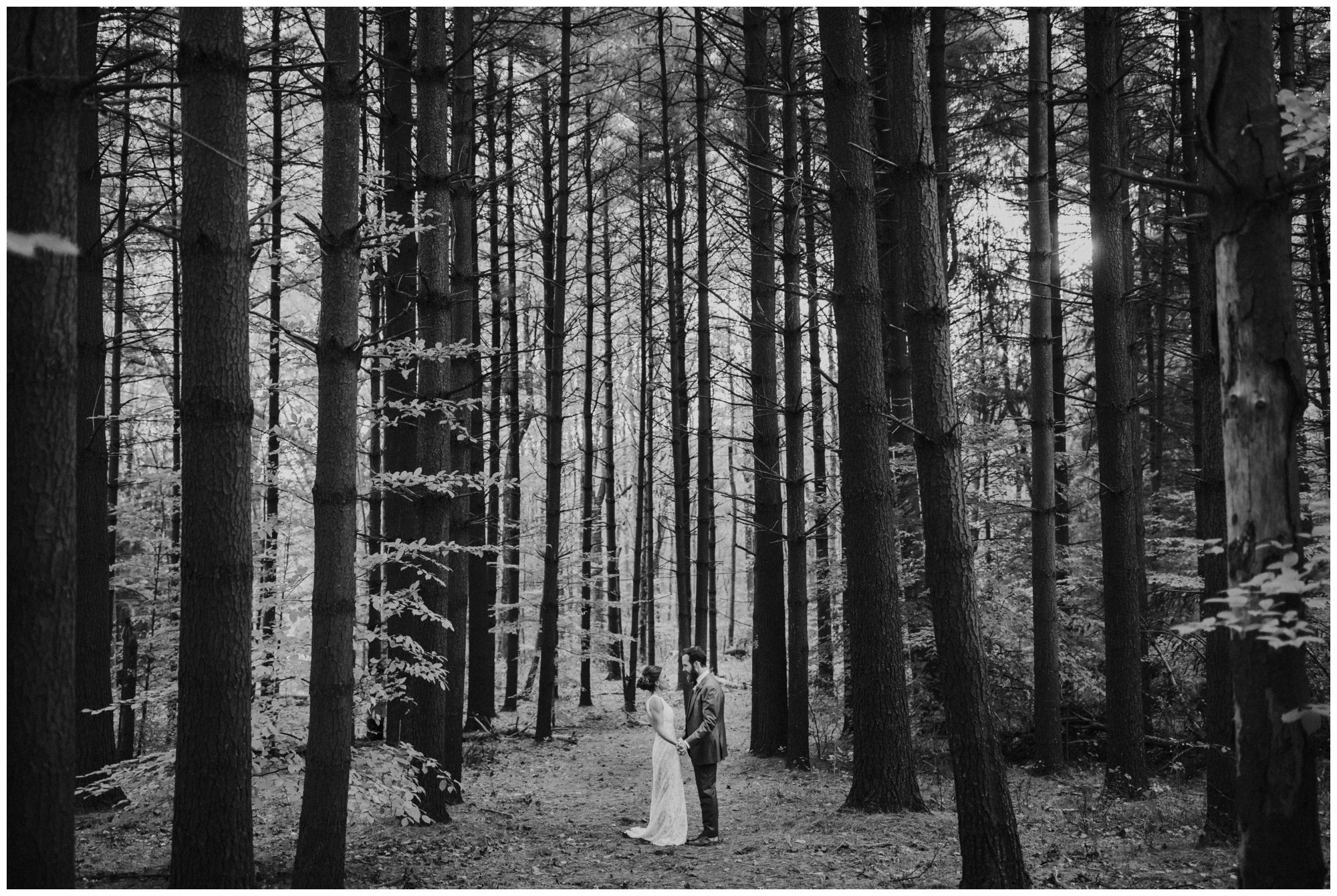 Frederick Maryland Wedding Photographer, Thorpewood Wedding Photographer, Maryland Intimate Wedding Photographer