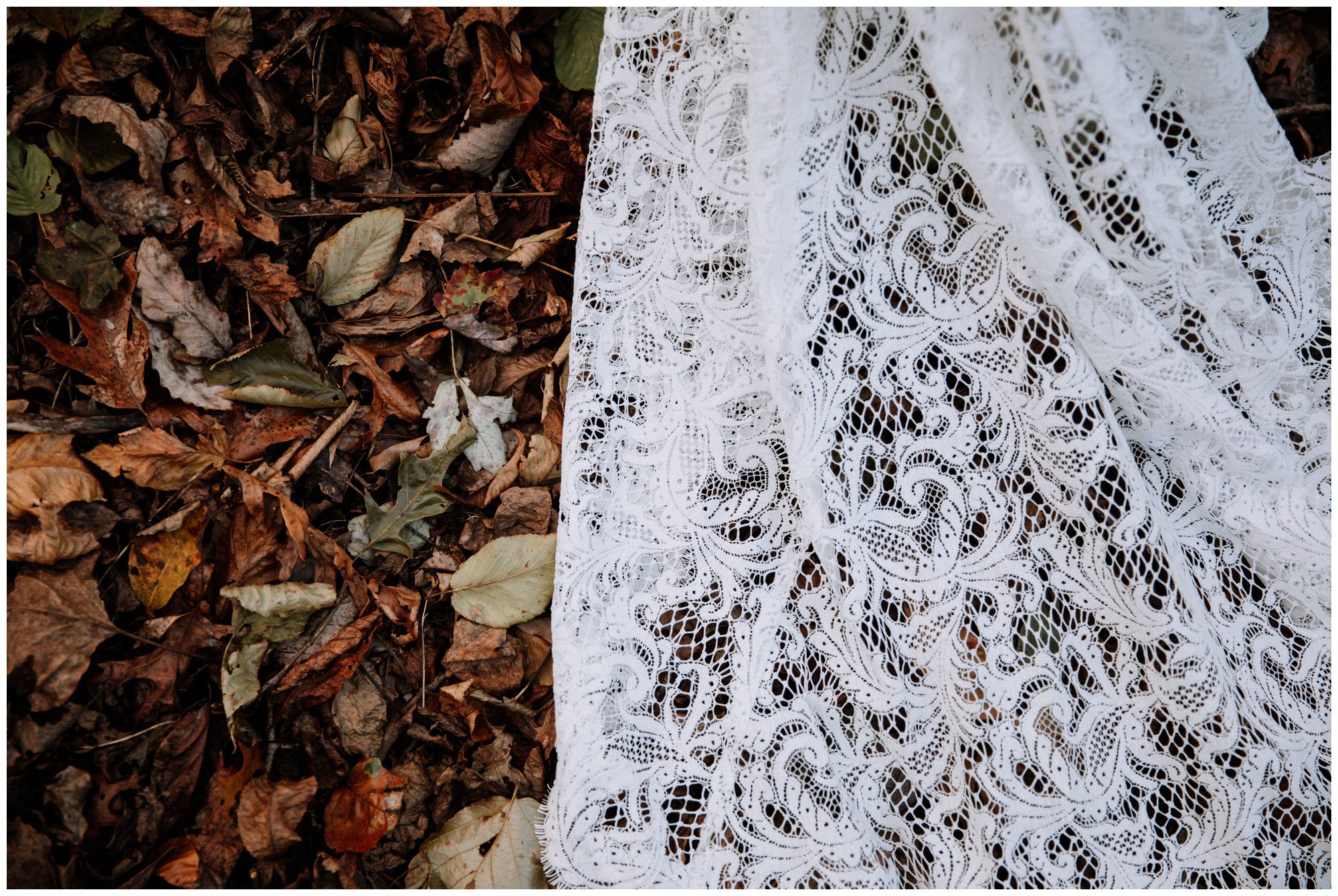 Frederick Maryland Wedding Photographer, Thorpewood Wedding Photographer, Maryland Intimate Wedding Photographer