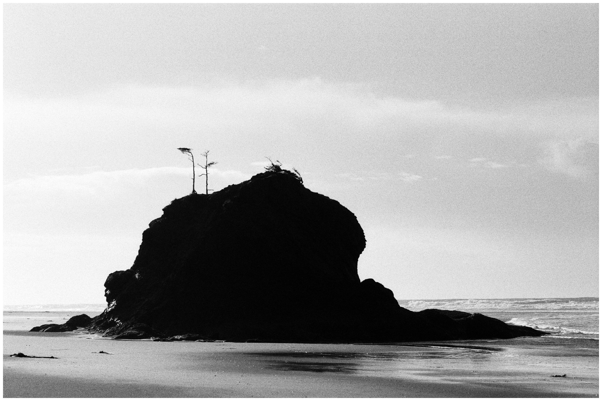 Second Beach Olympic National Park Photographer-10.jpg